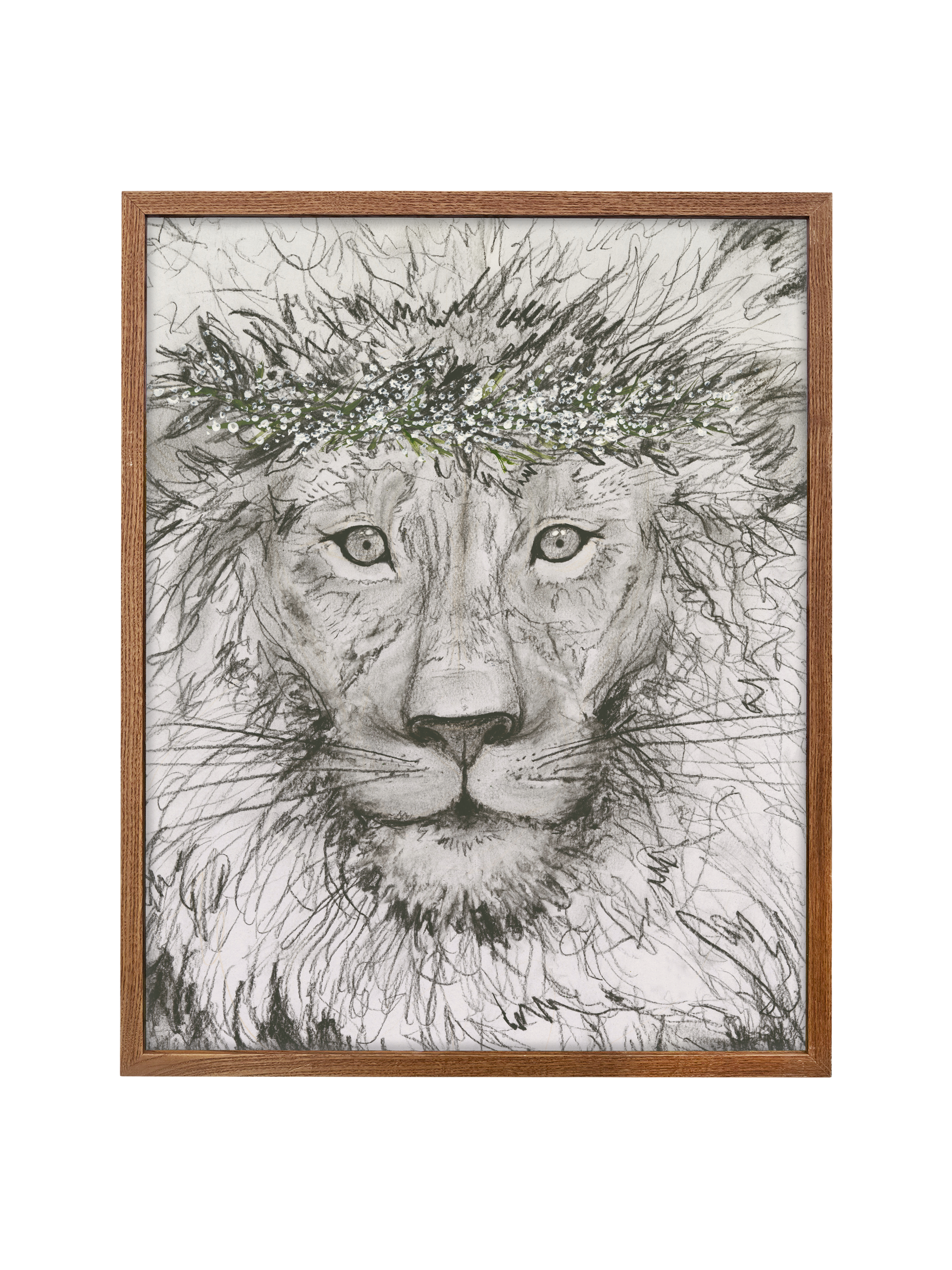 Aslan  | Canvas