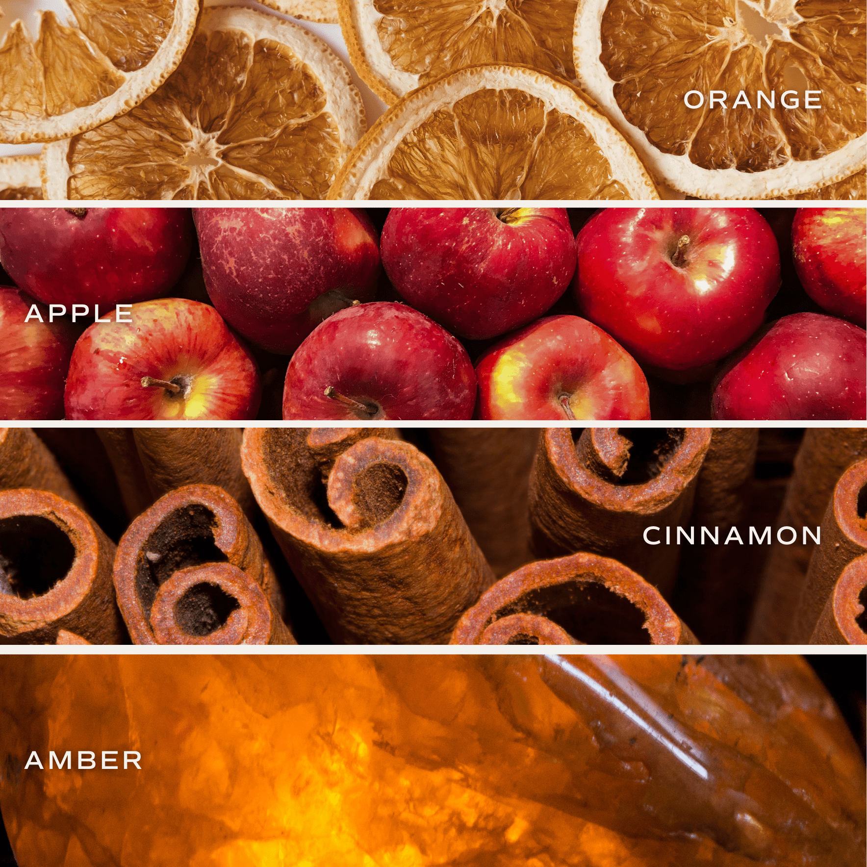 Mulled Cider Soy Candle (Amber Jar 9 oz)