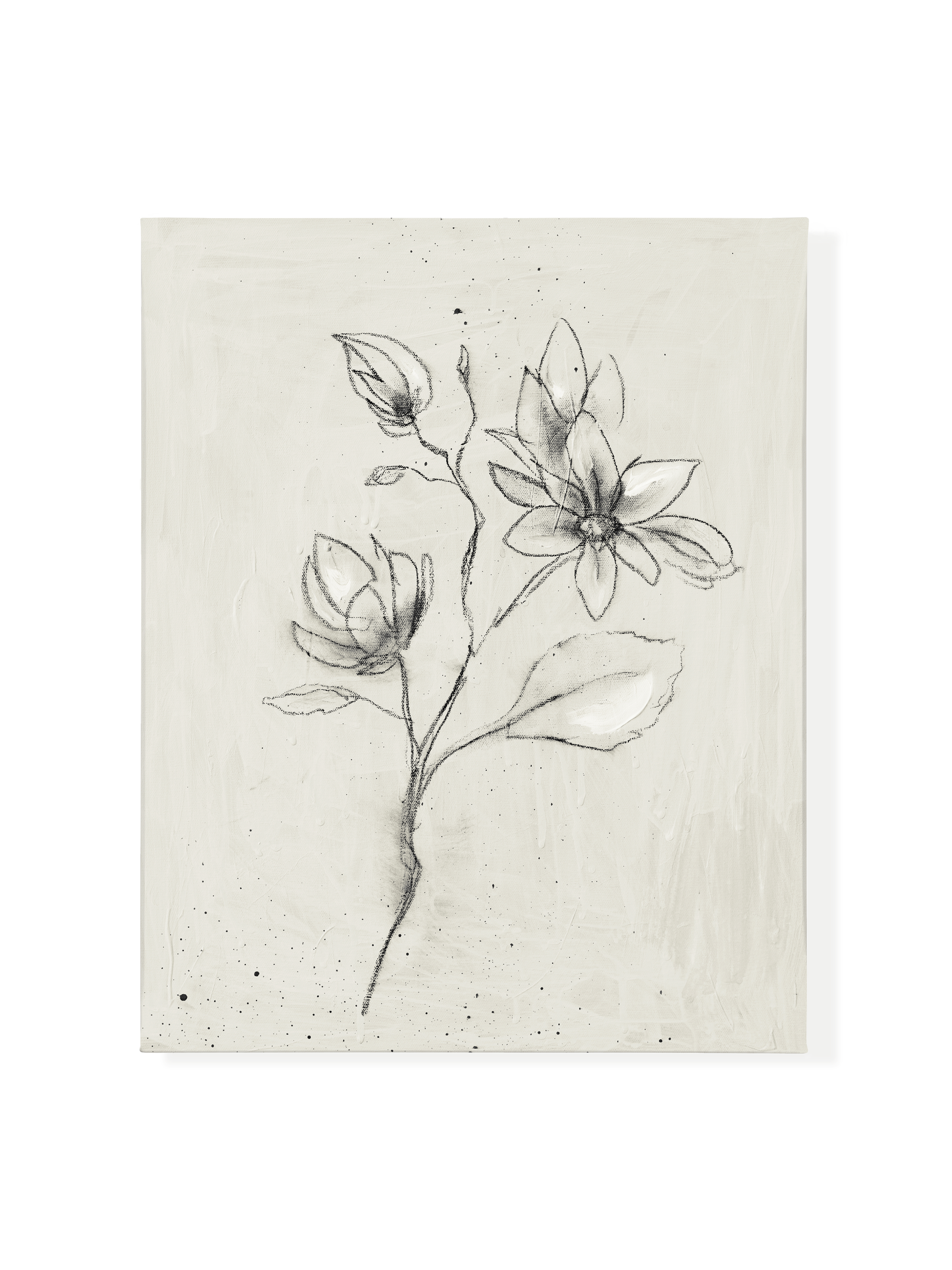Magnolia Stem | Canvas (Classic)