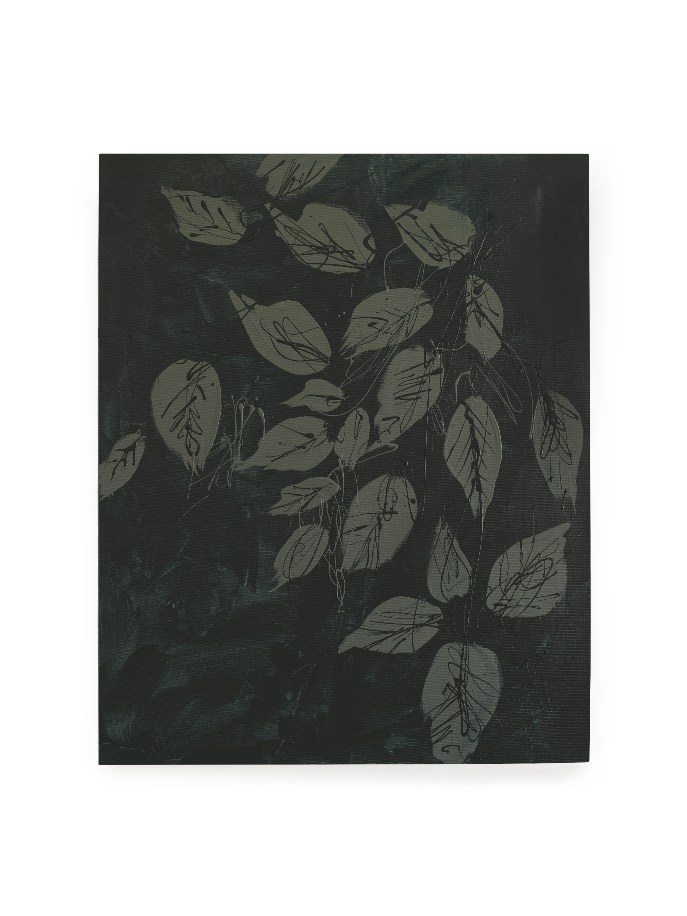 Canopy at Night | Art Print