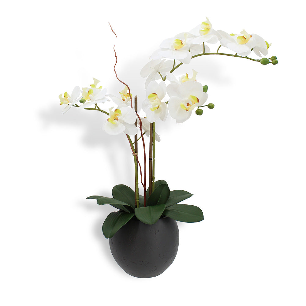 25" Lifelike Artificial White Double Stem Orchid Plant in Modern Grey Pot