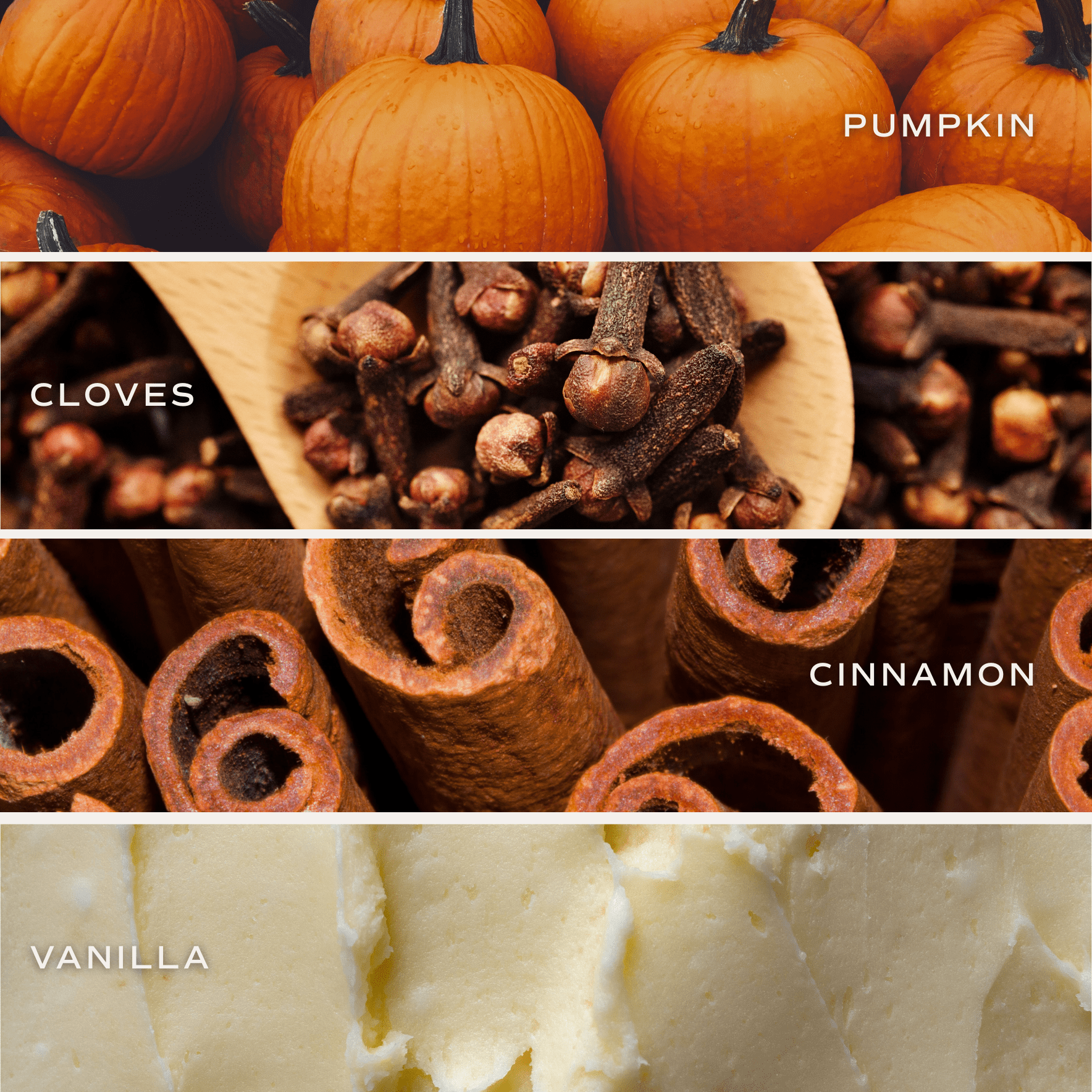 Pumpkin Spice Soy Candle (15oz Orange Matte Jar)