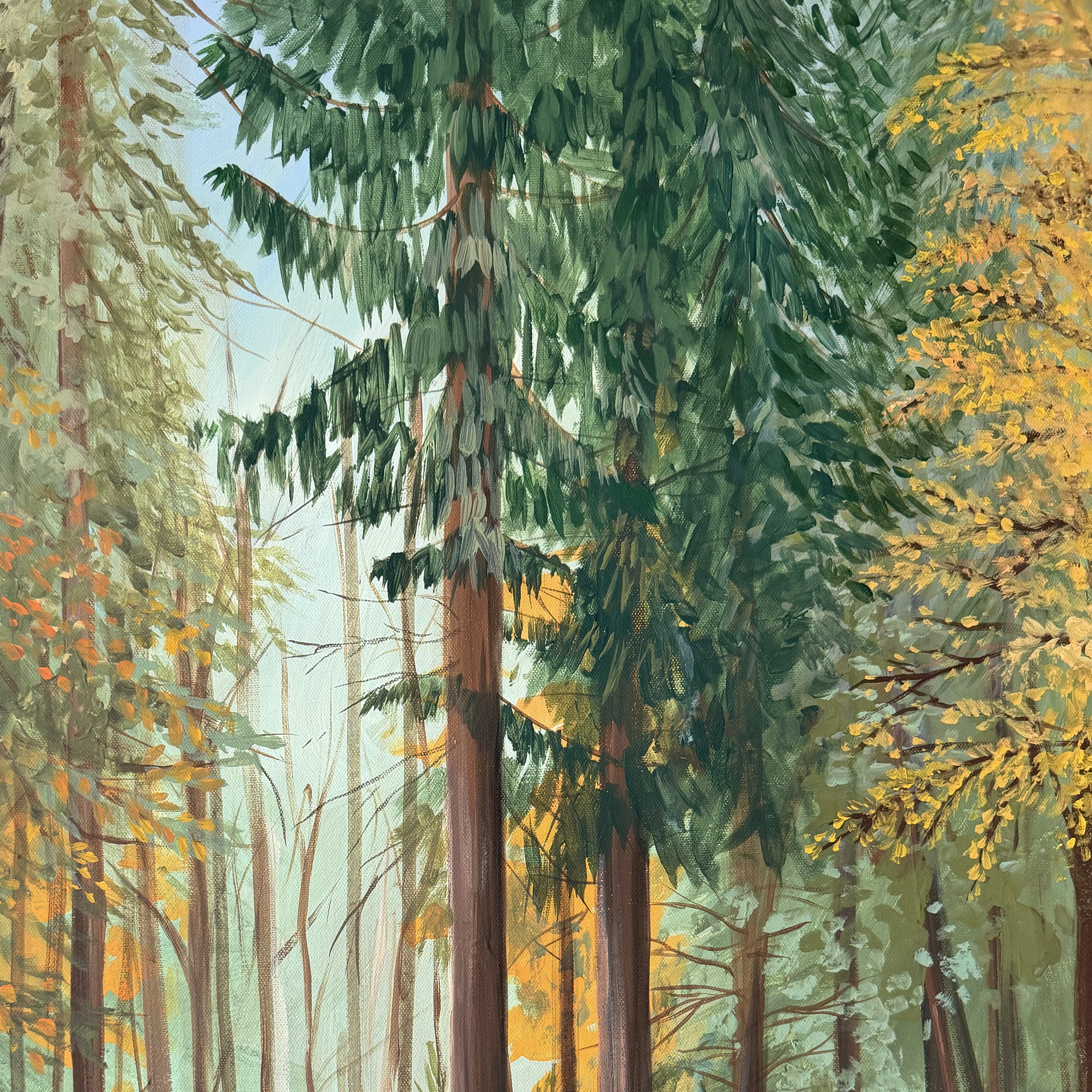 A Quiet Path Canvas Wall Art