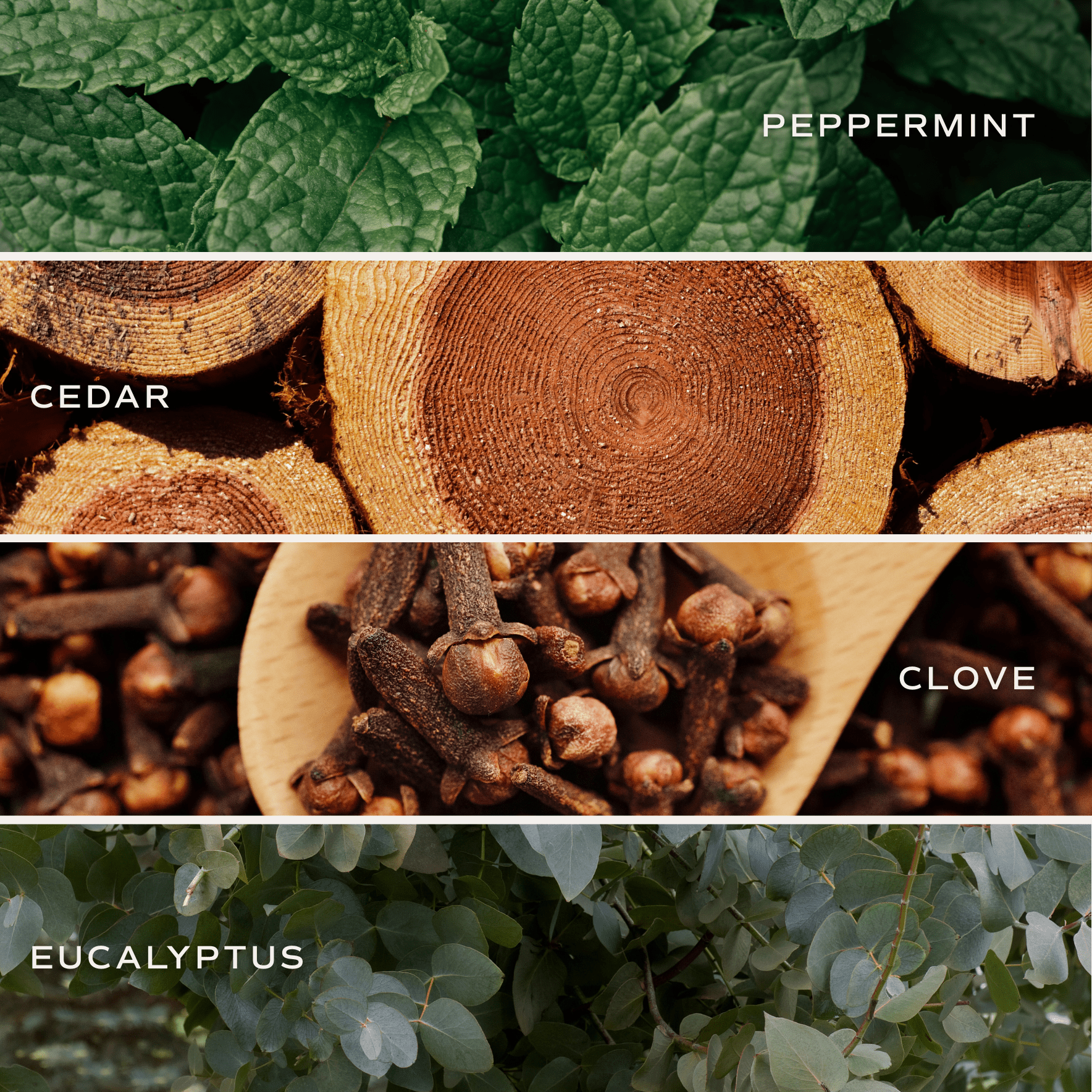 Relax Girl Soy Candle (Tan Matte Jar 15 oz - Relaxation)