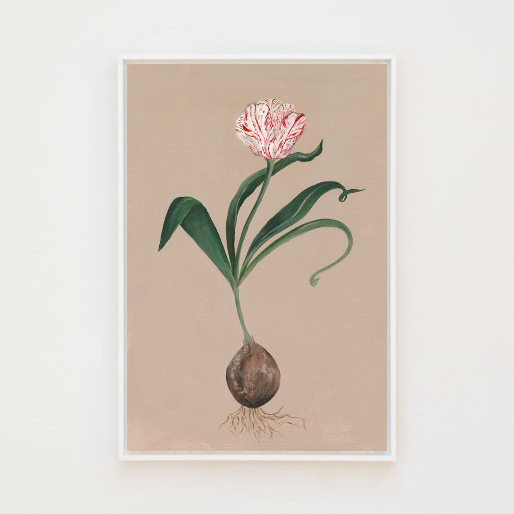 Rembrandt Tulip Canvas Wall Art . Rectangle Vertical