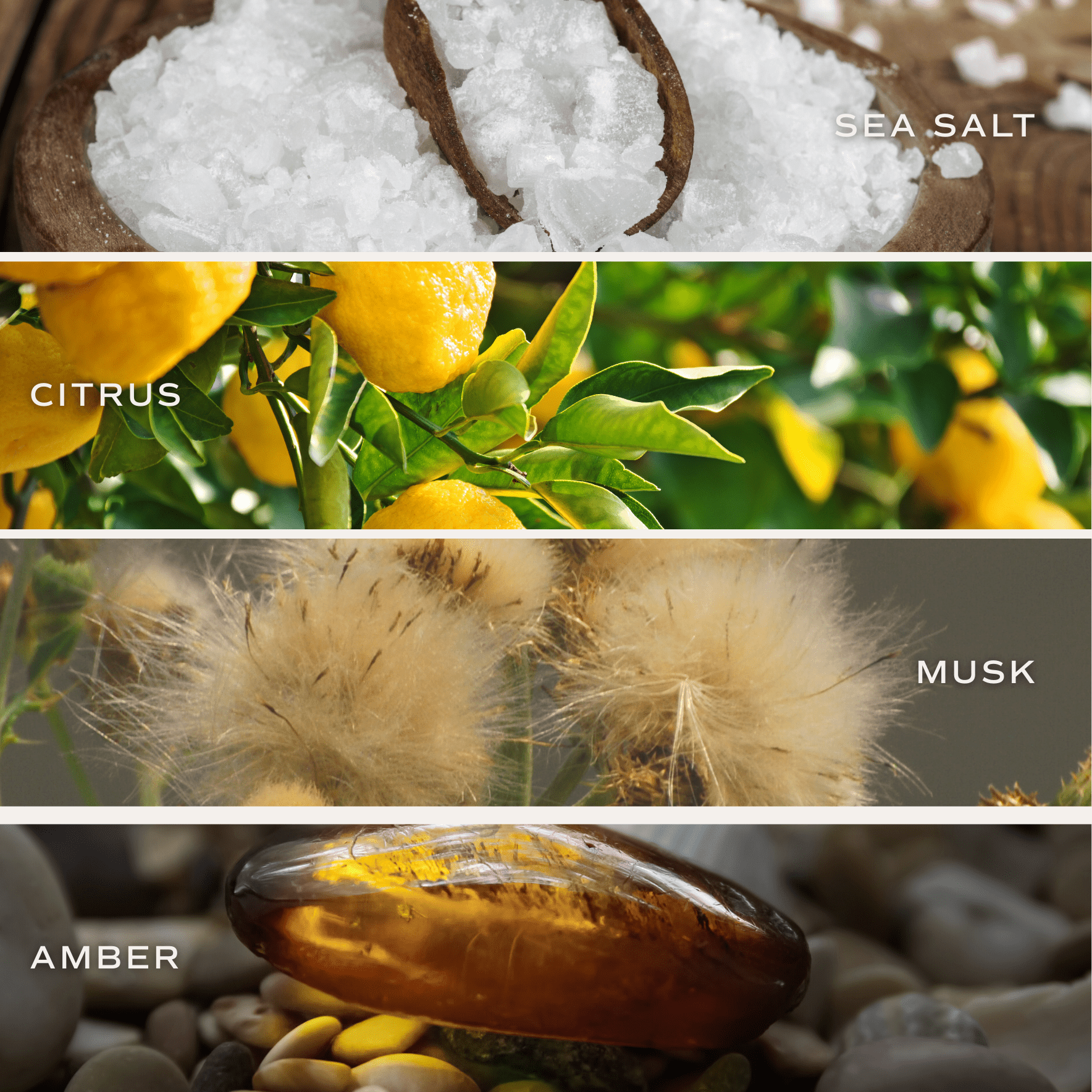 Salt and Sea Soy Candle (12 oz Blue Tinted Glass Jar)