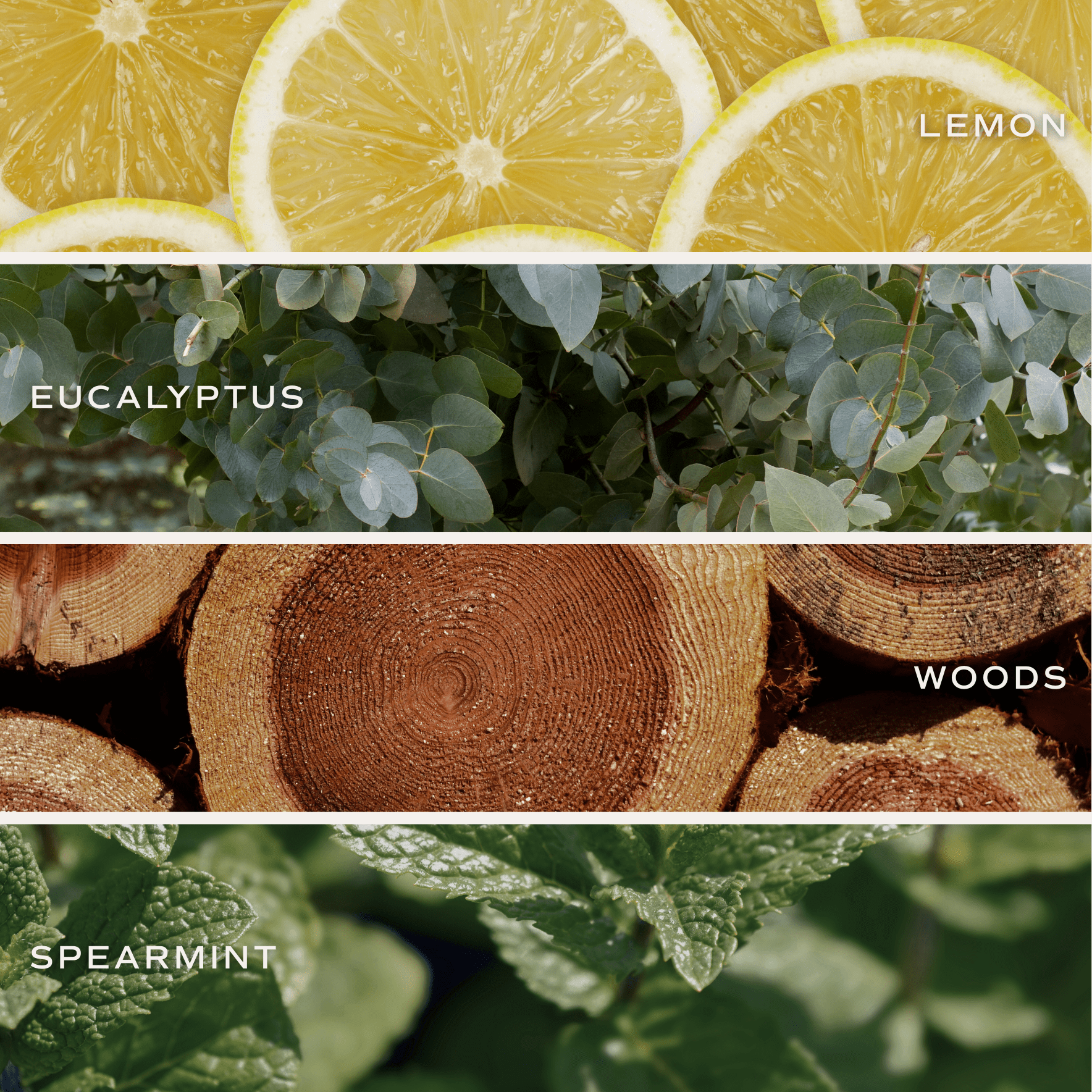 Stress Relief Soy Candle (15 oz Blue Matte Jar)