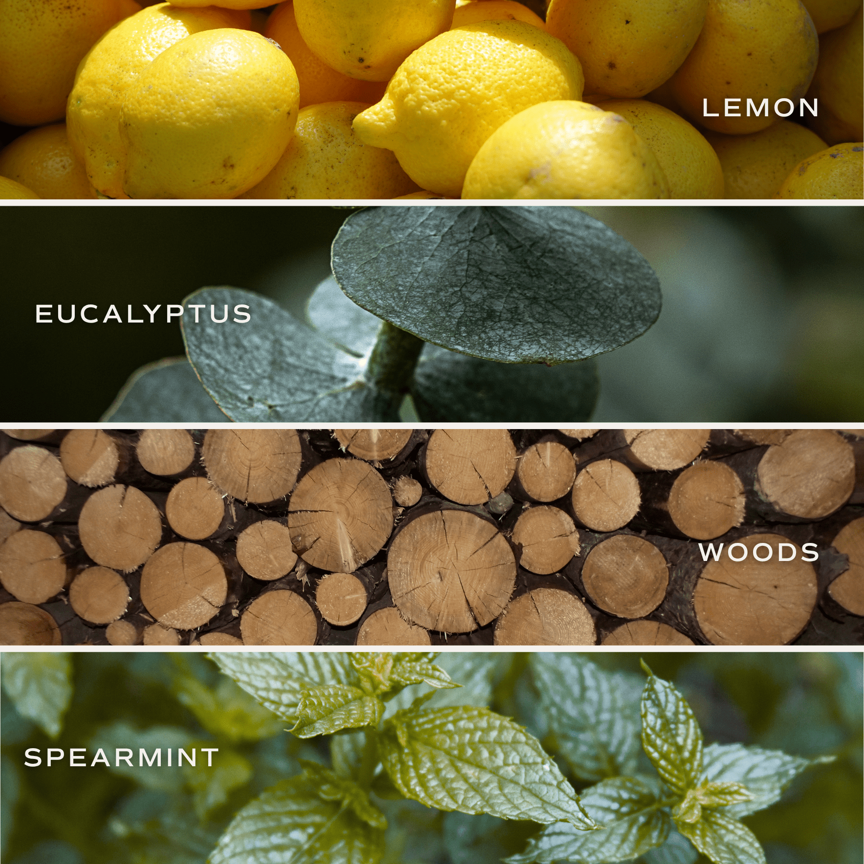 Stress Relief Soy Candle (12 oz Blue Tinted Glass Jar)