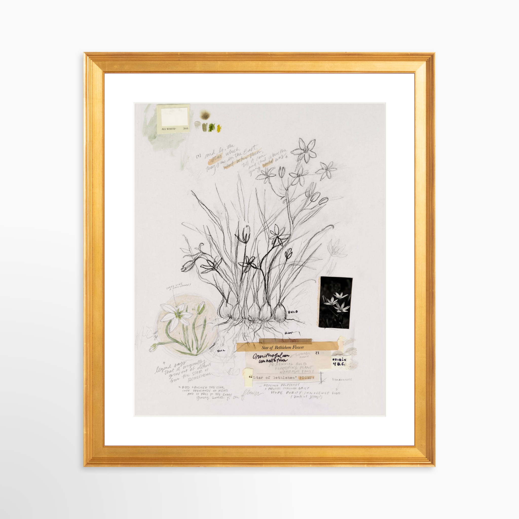 24x30 / Certificate Gold Frame + White Mat