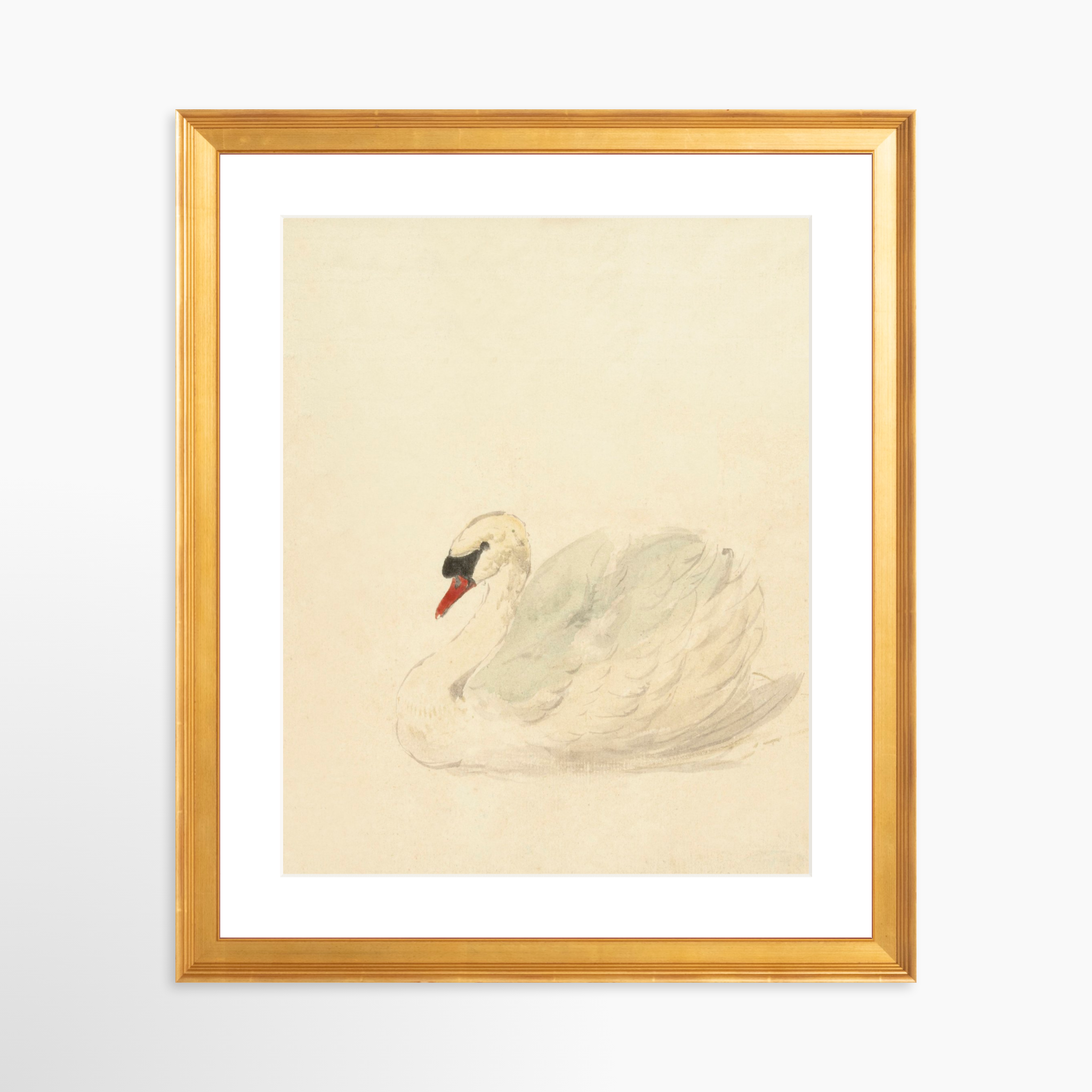 24x30 / Certificate Gold Frame + White Mat