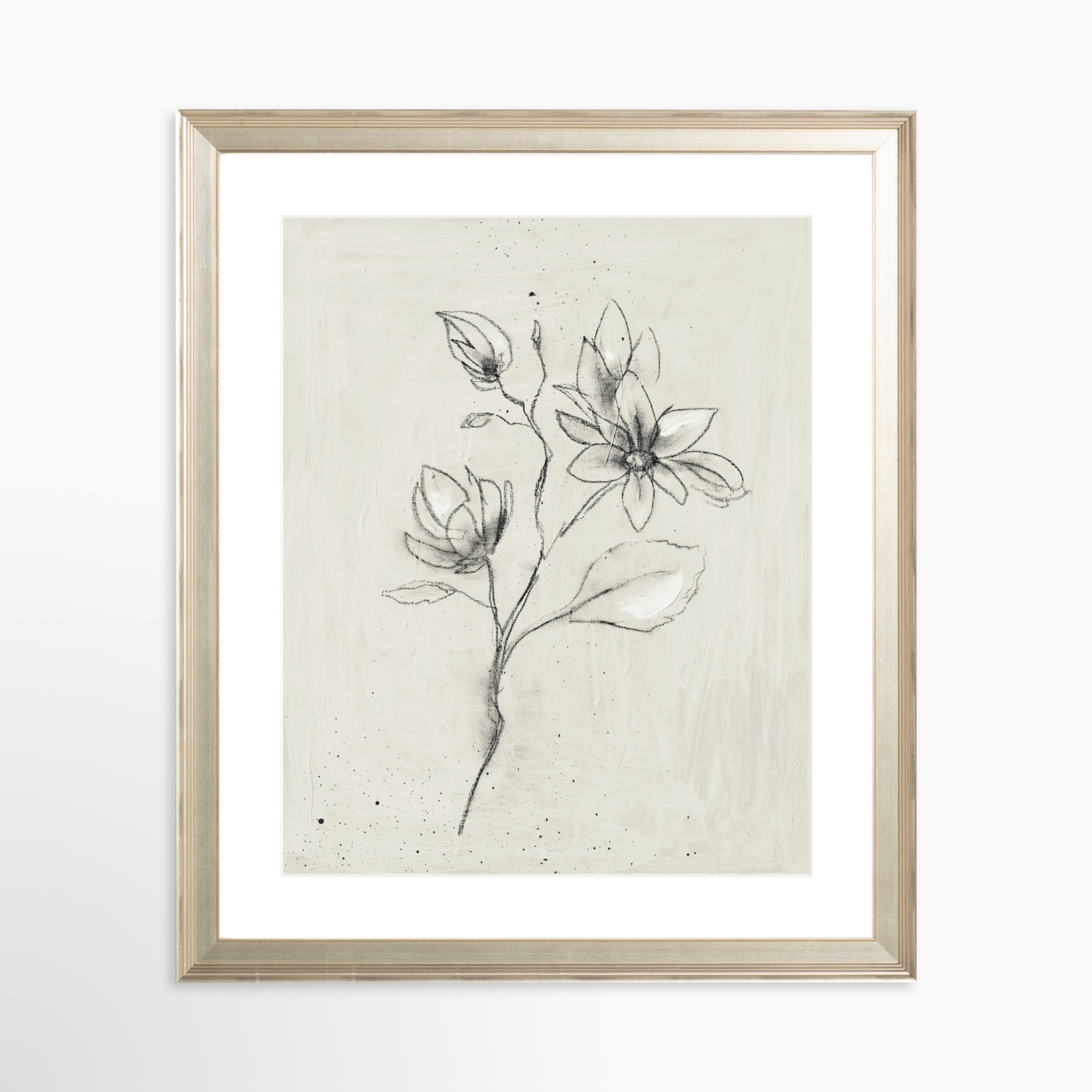 24x30 / Certificate Silver Frame + White Mat