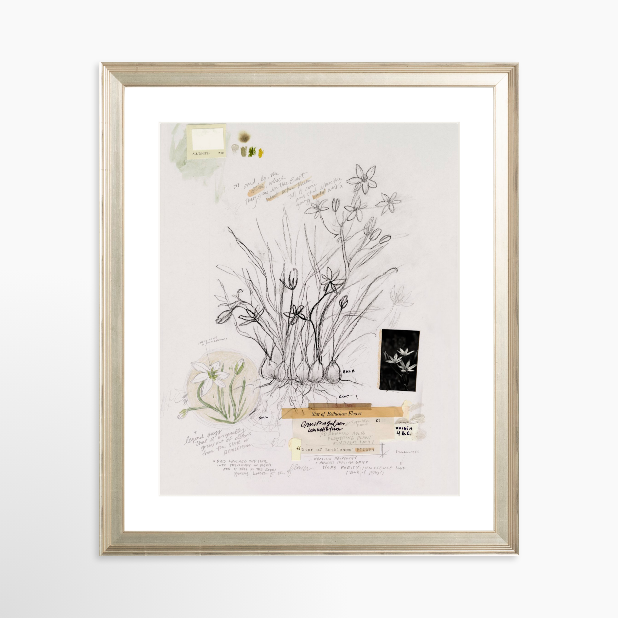 24x30 / Certificate Silver Frame + White Mat
