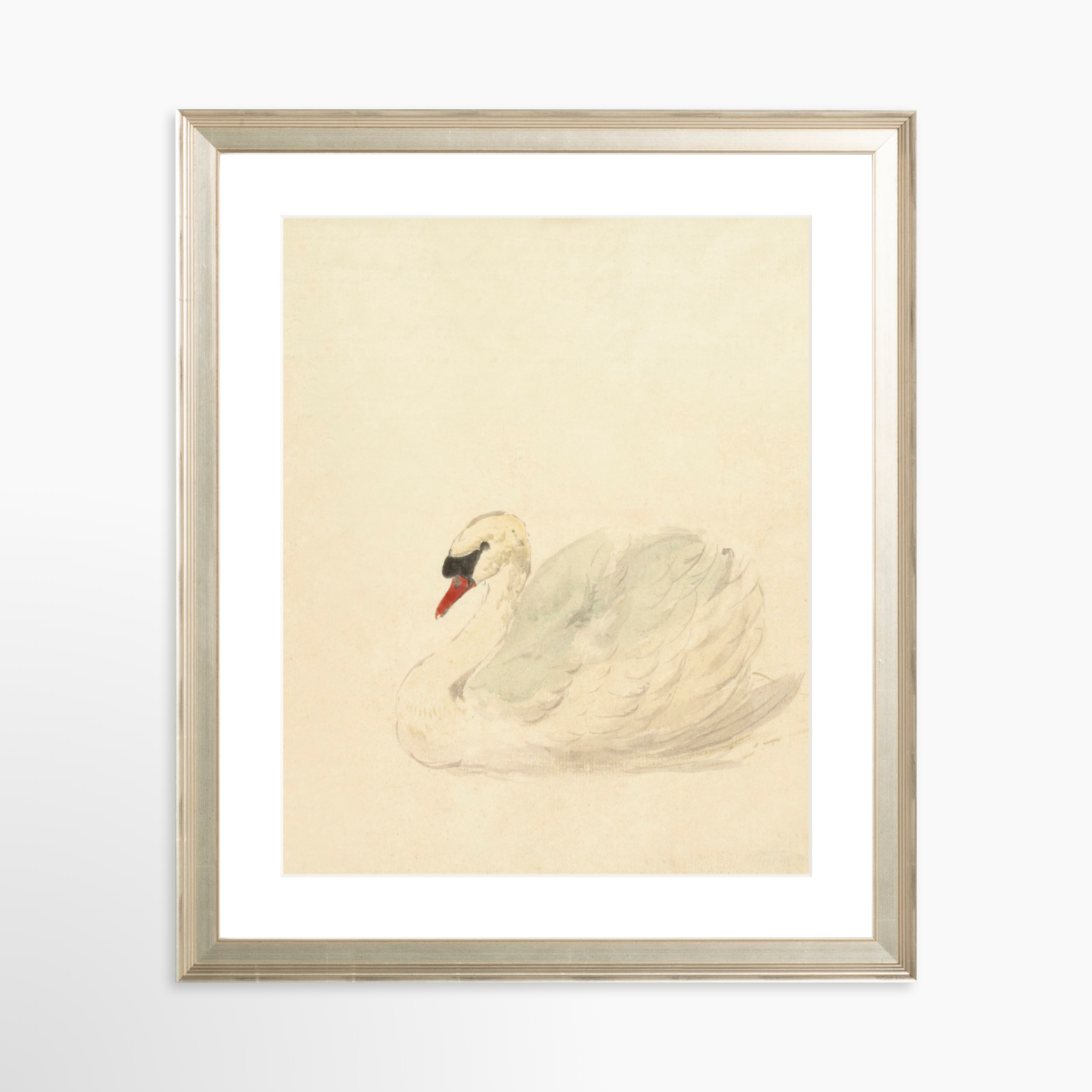 24x30 / Certificate Silver Frame + White Mat