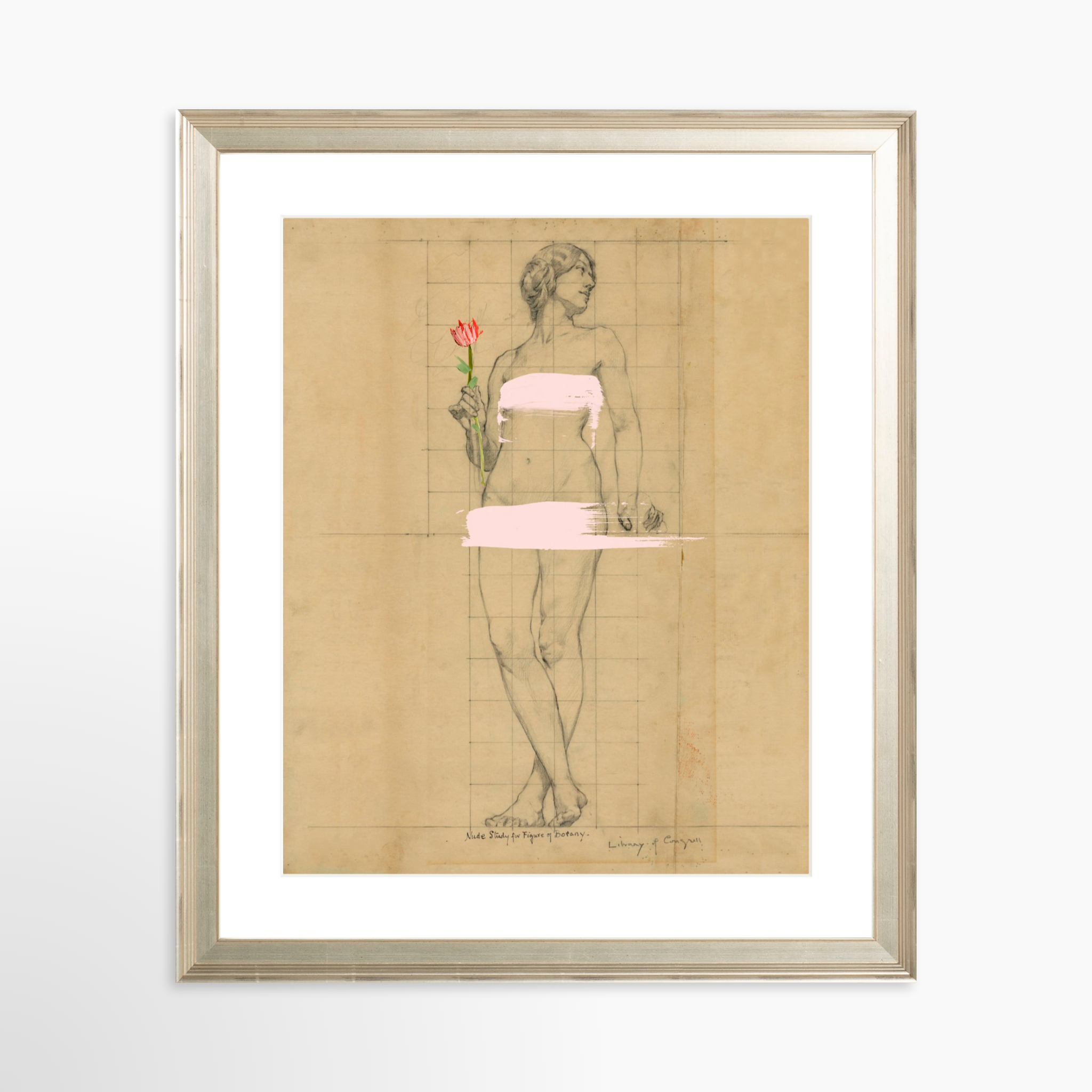 24x30 / Certificate Silver Frame + White Mat