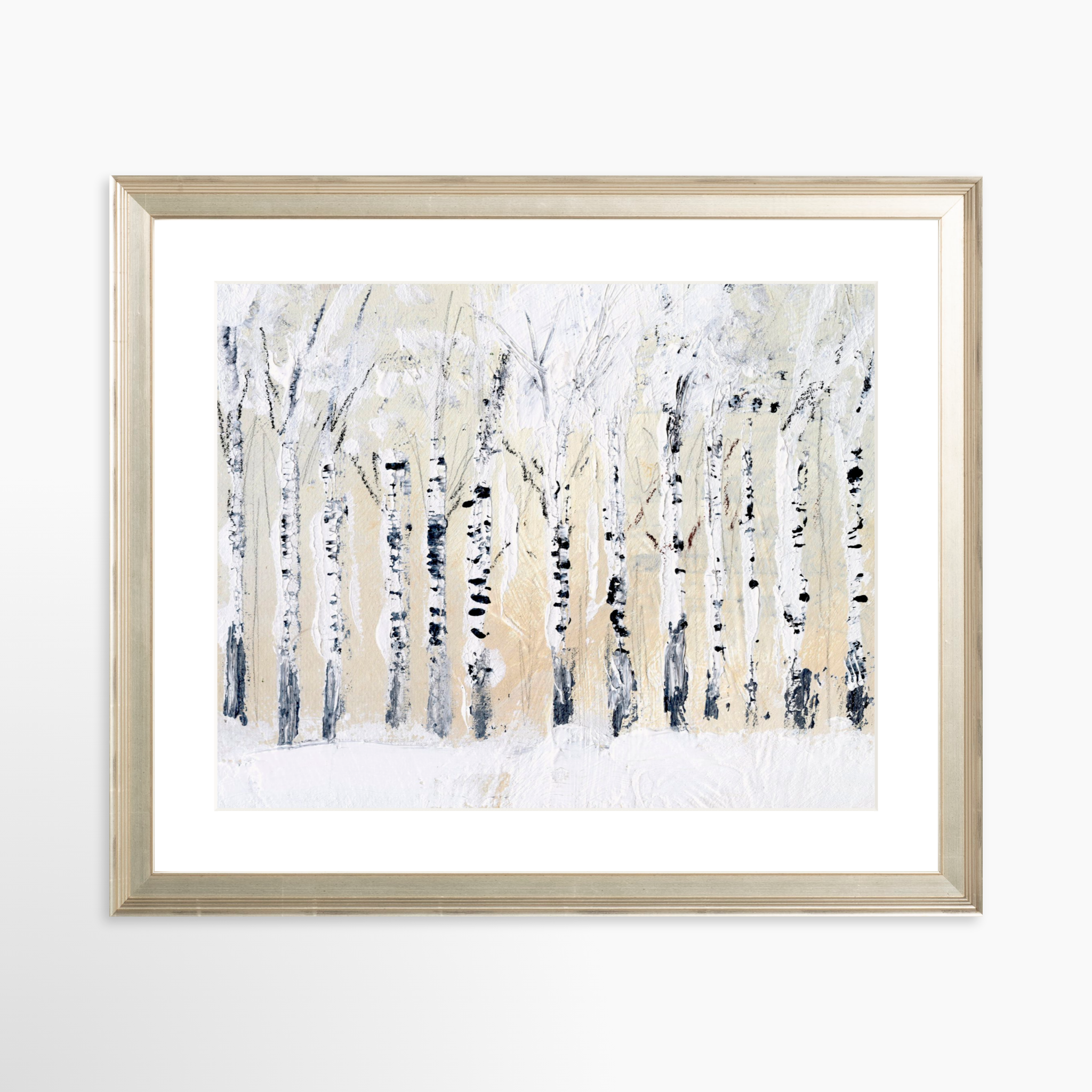 30x24 / Certificate Silver Frame + White Mat