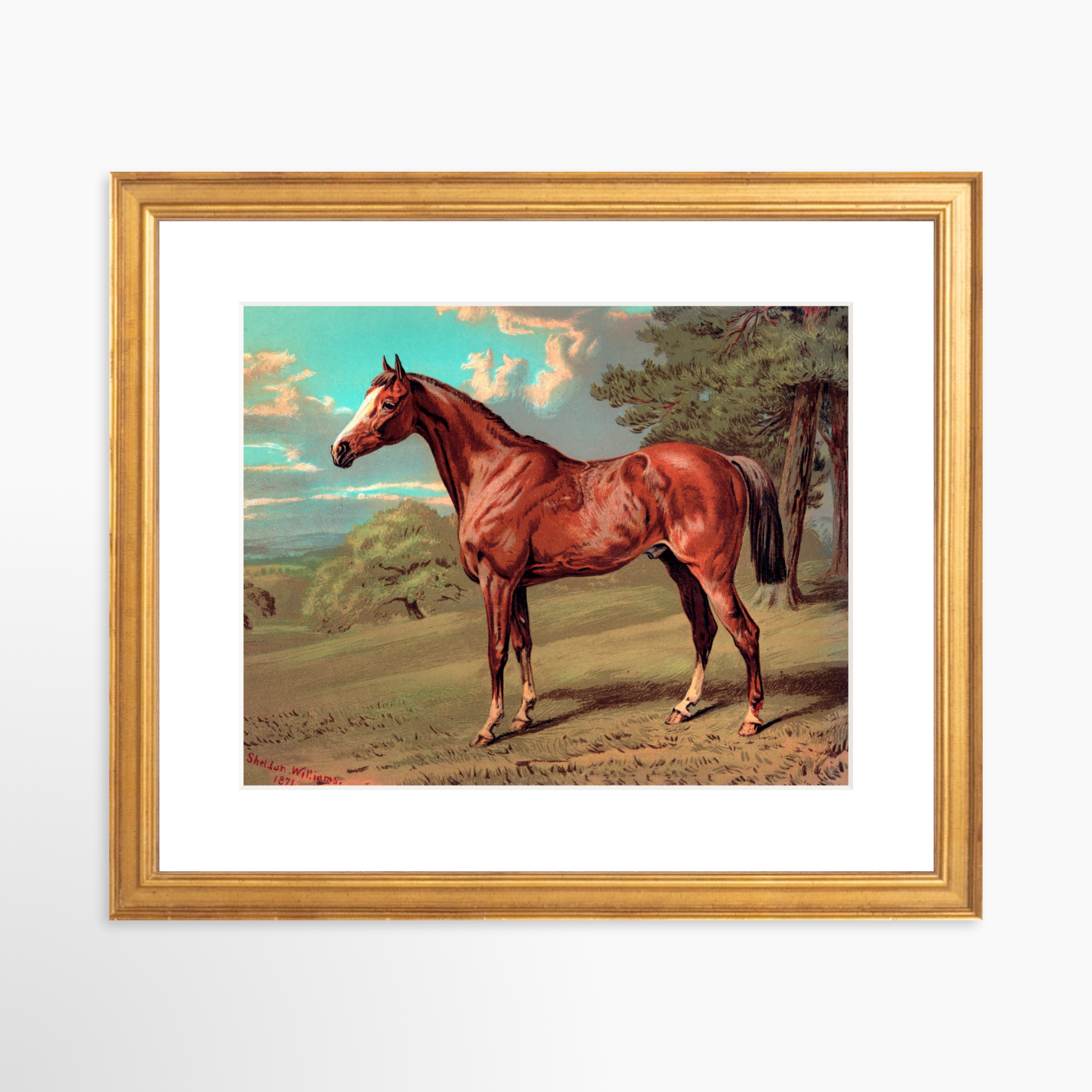 10x8 / Certificate Gold Frame + White Mat