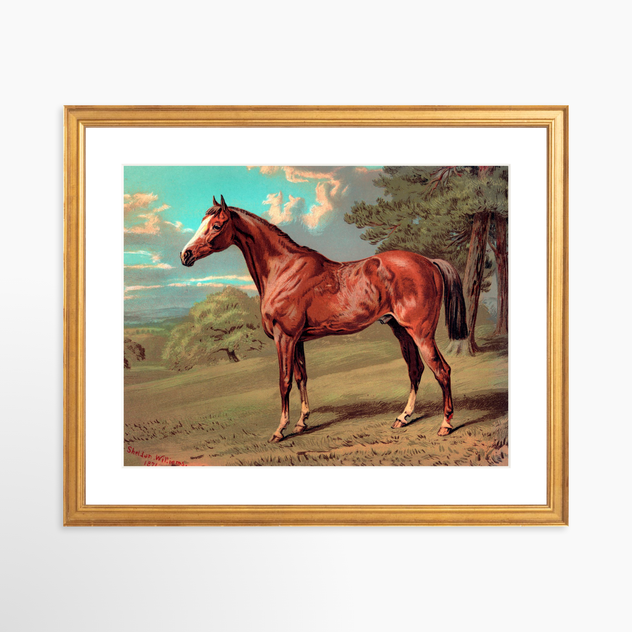 14x11 / Certificate Gold Frame + White Mat