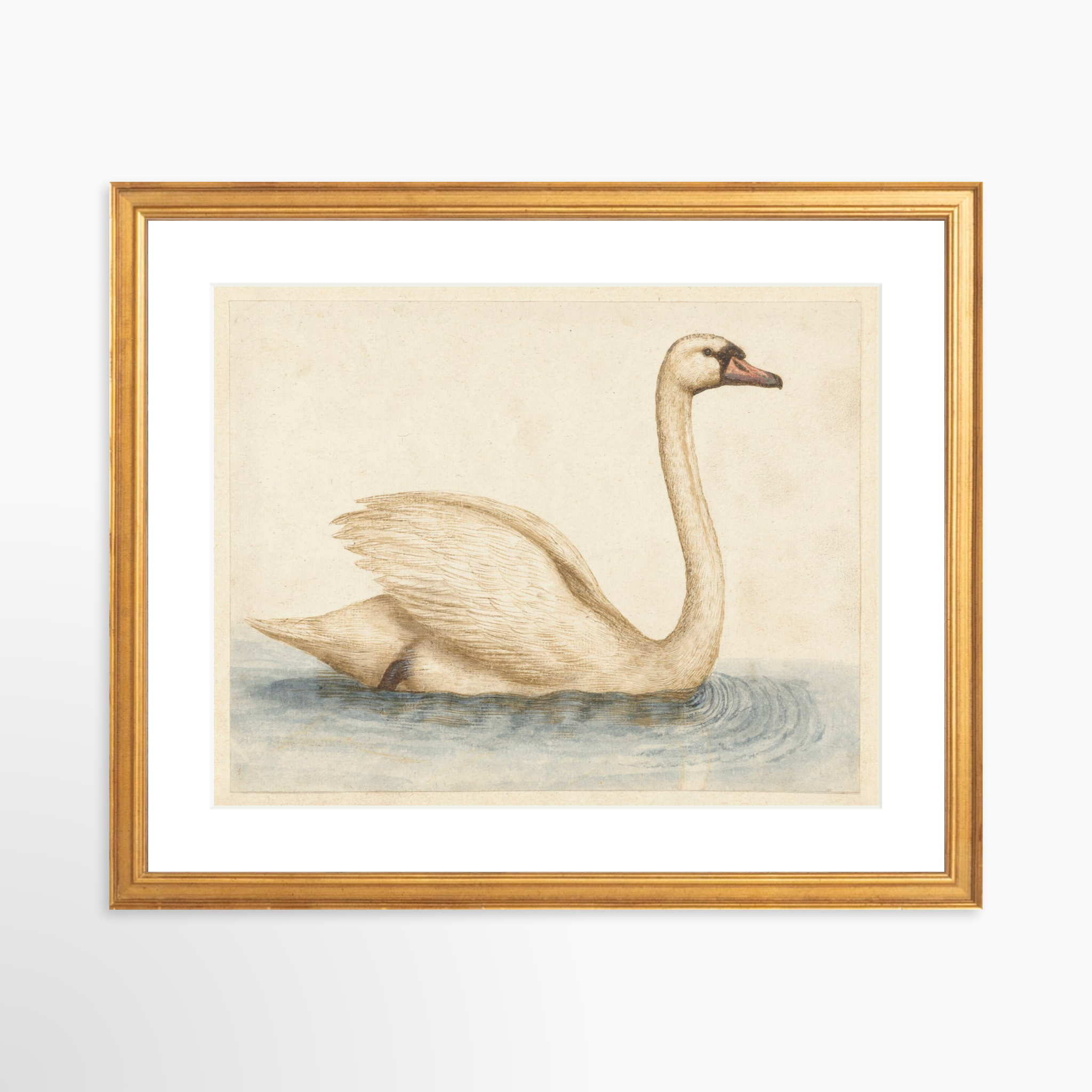 14x11 / Certificate Gold Frame + White Mat