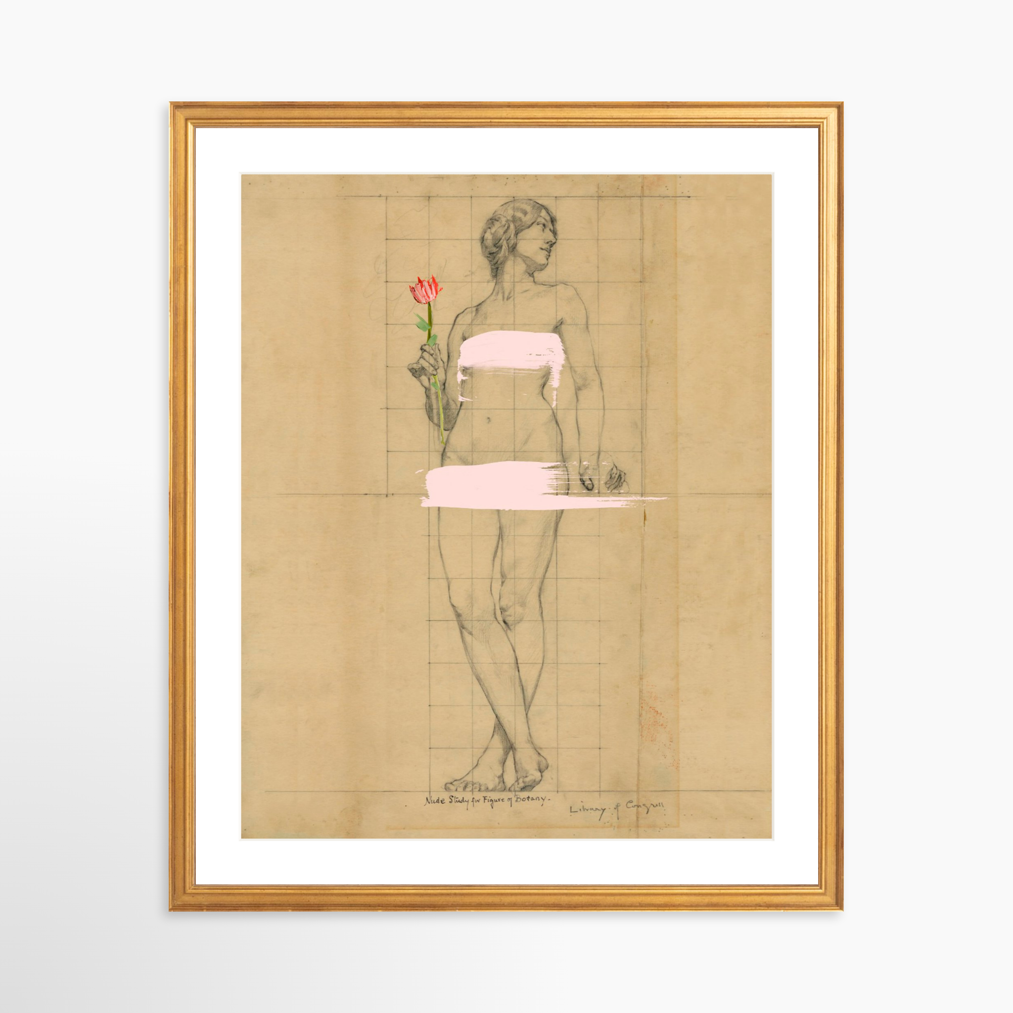 16x20 / Certificate Gold Frame + White Mat