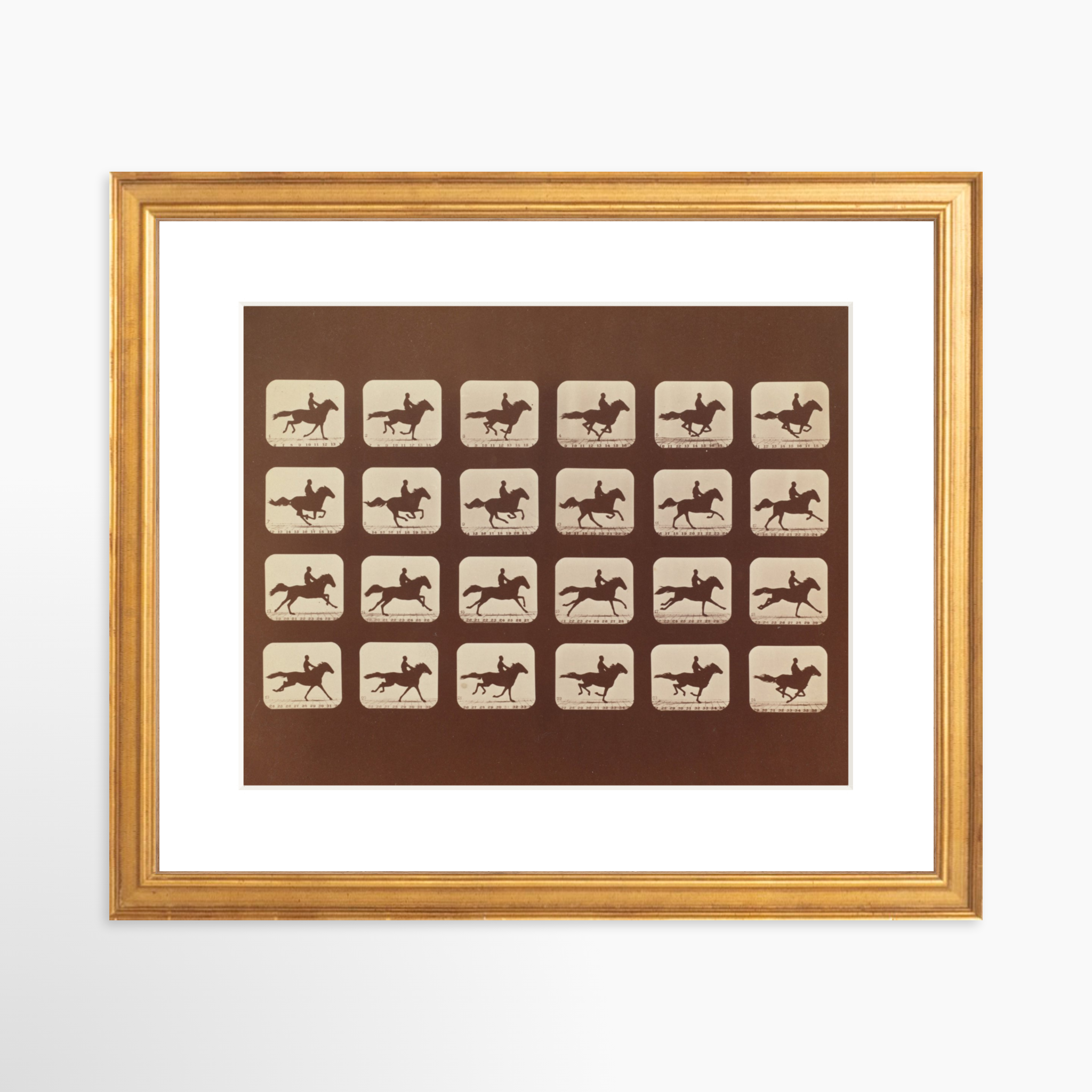 8x10 / Certificate Gold Frame + White Mat