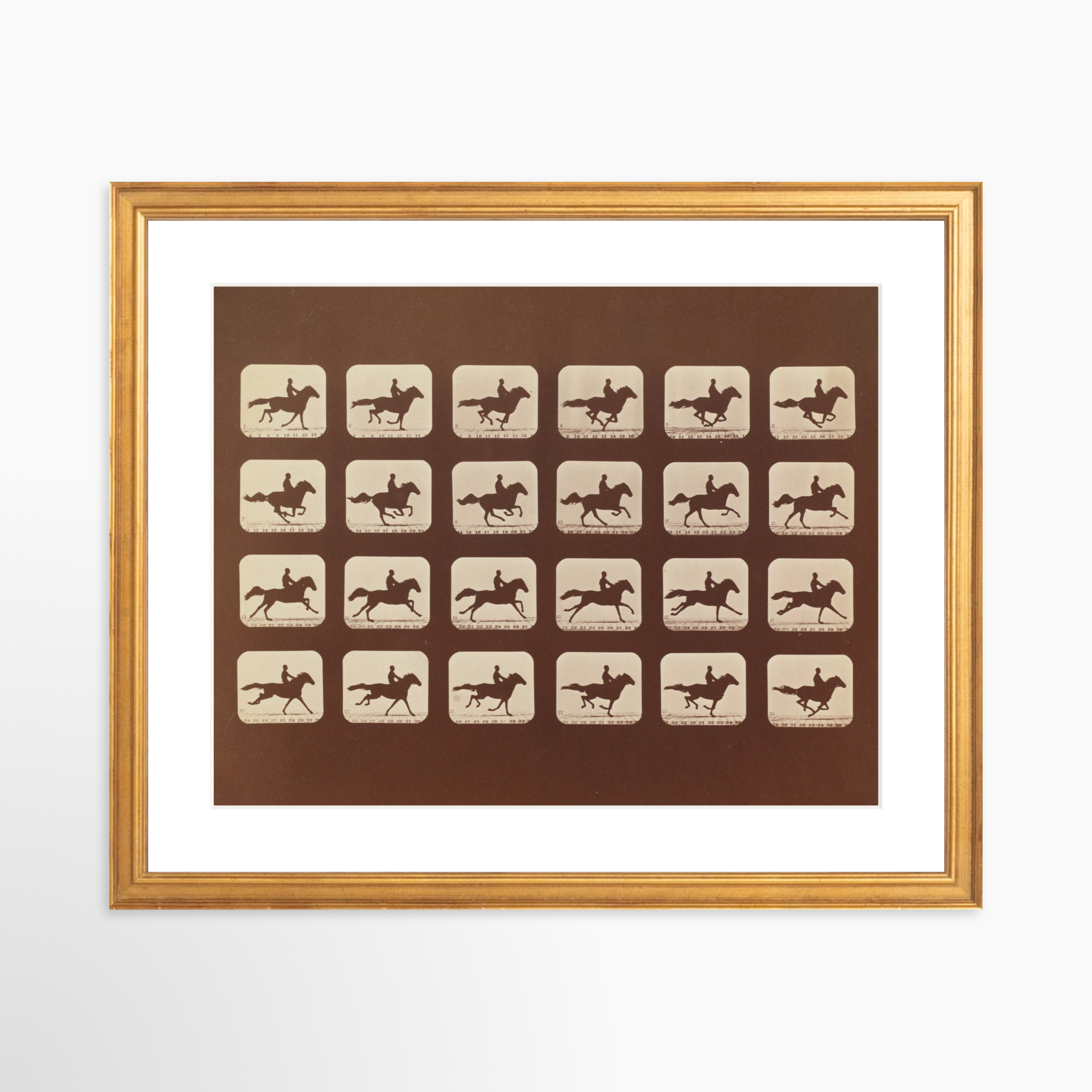 14x11 / Certificate Gold Frame + White Mat