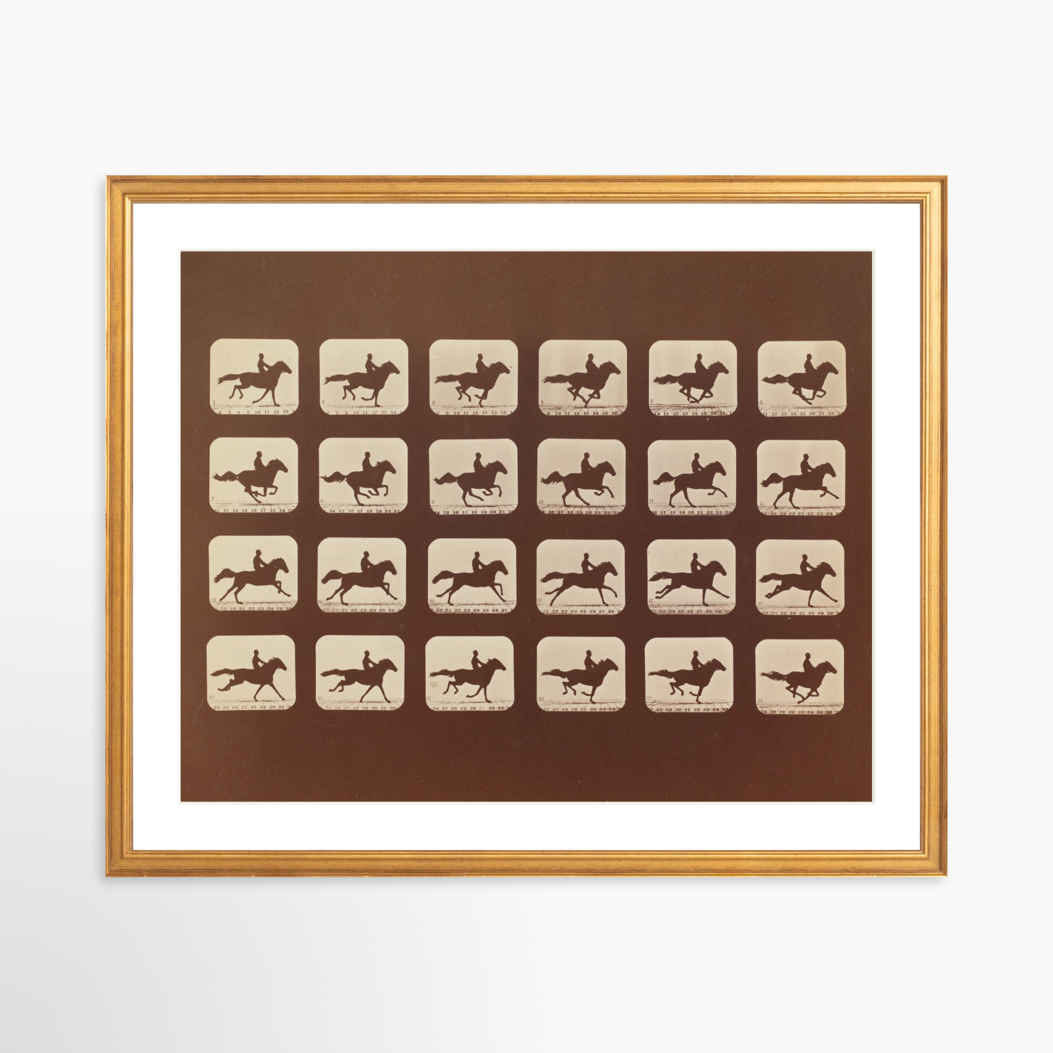 20x16 / Certificate Gold Frame + White Mat