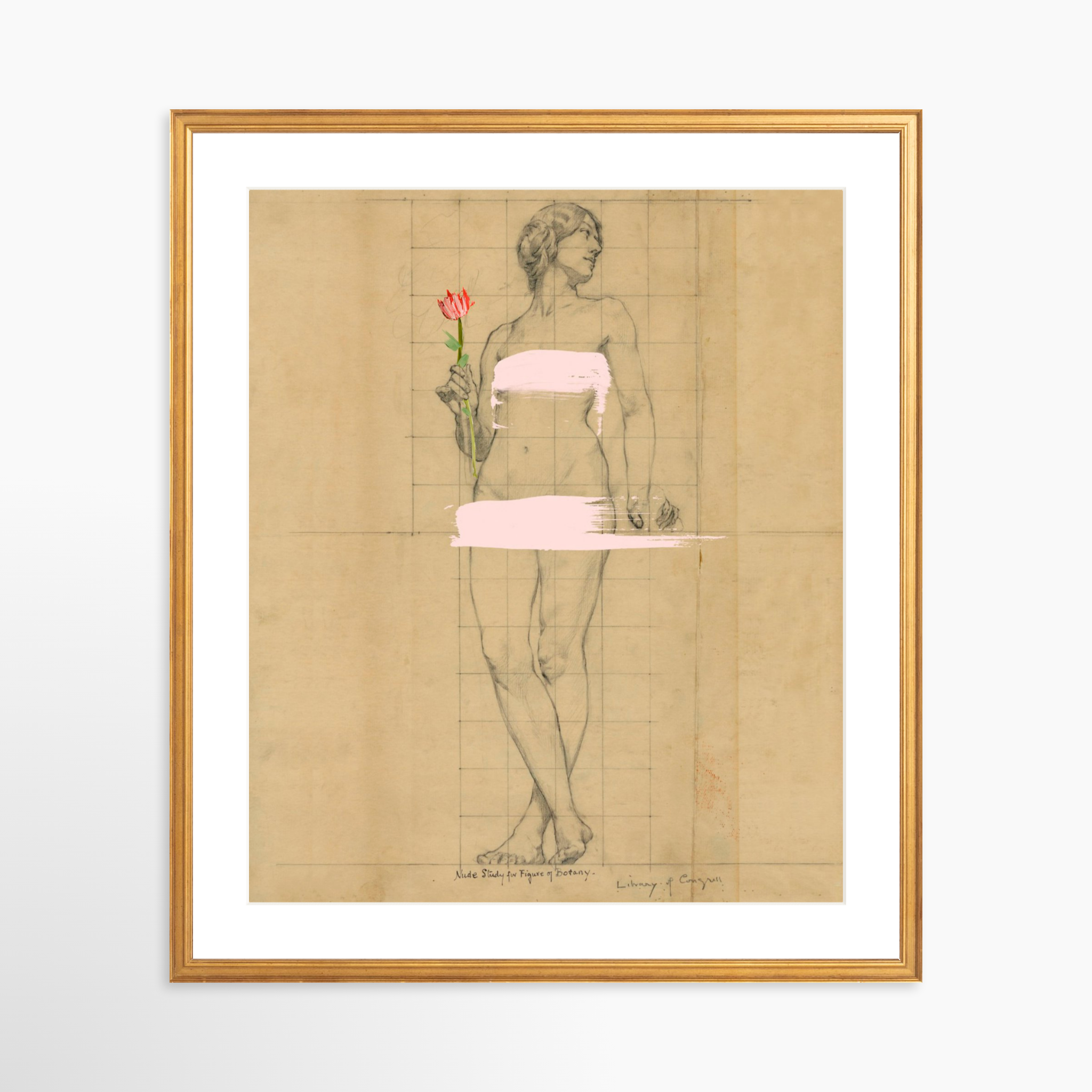 20x25 / Certificate Gold Frame + White Mat