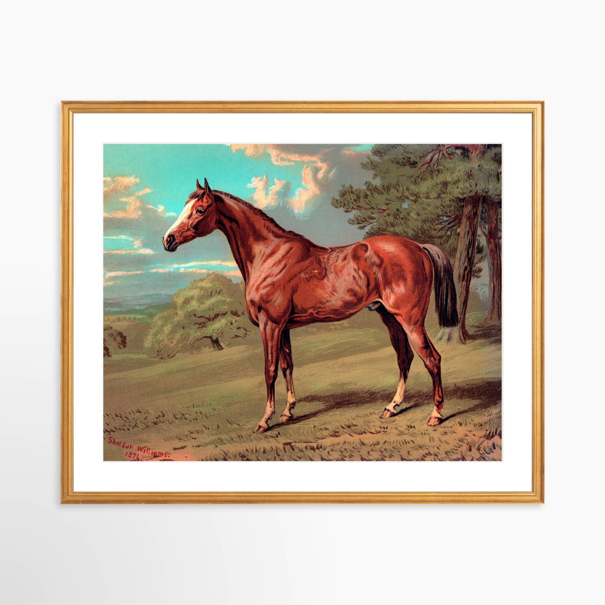 25x20 / Certificate Gold Frame + White Mat