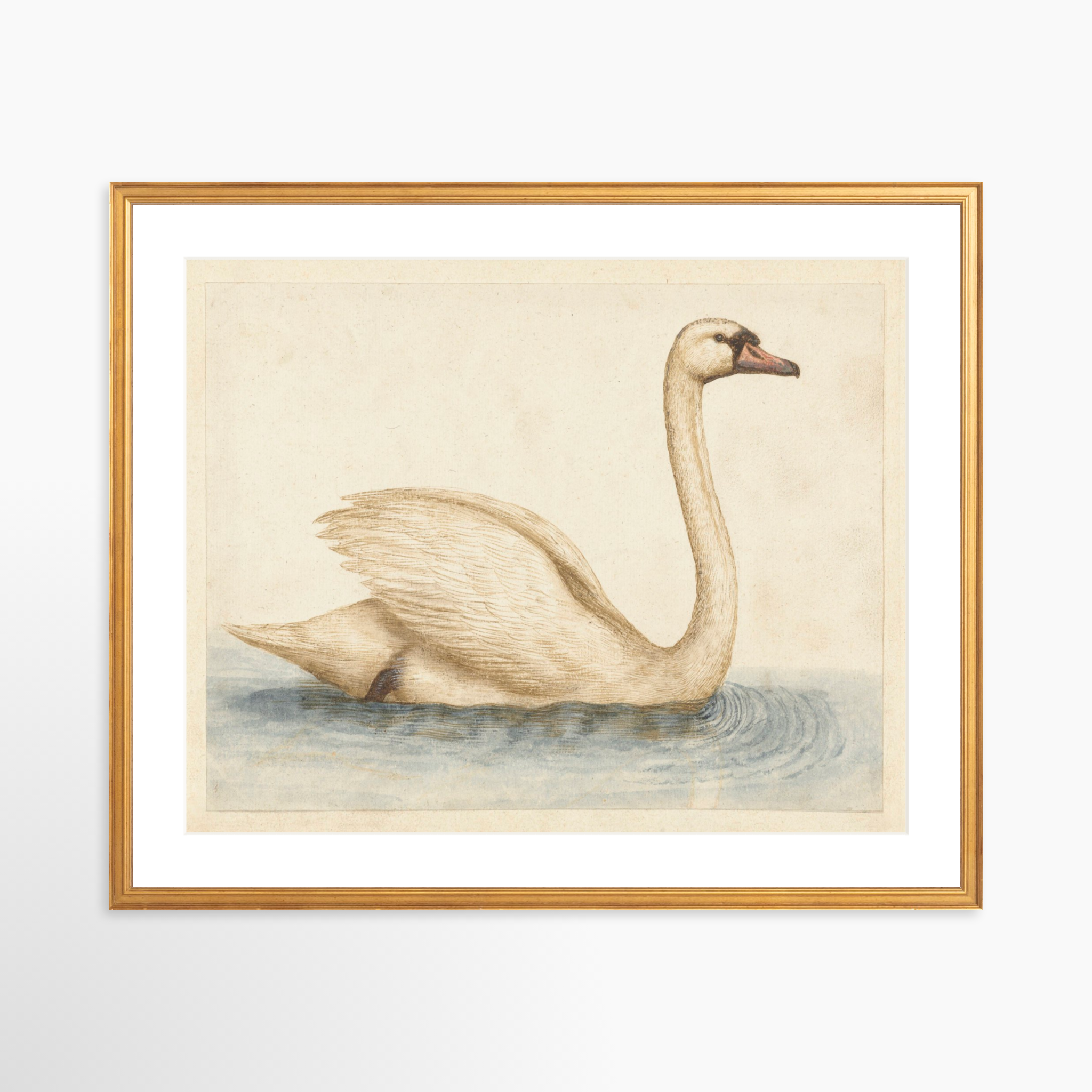 25x20 / Certificate Gold Frame + White Mat