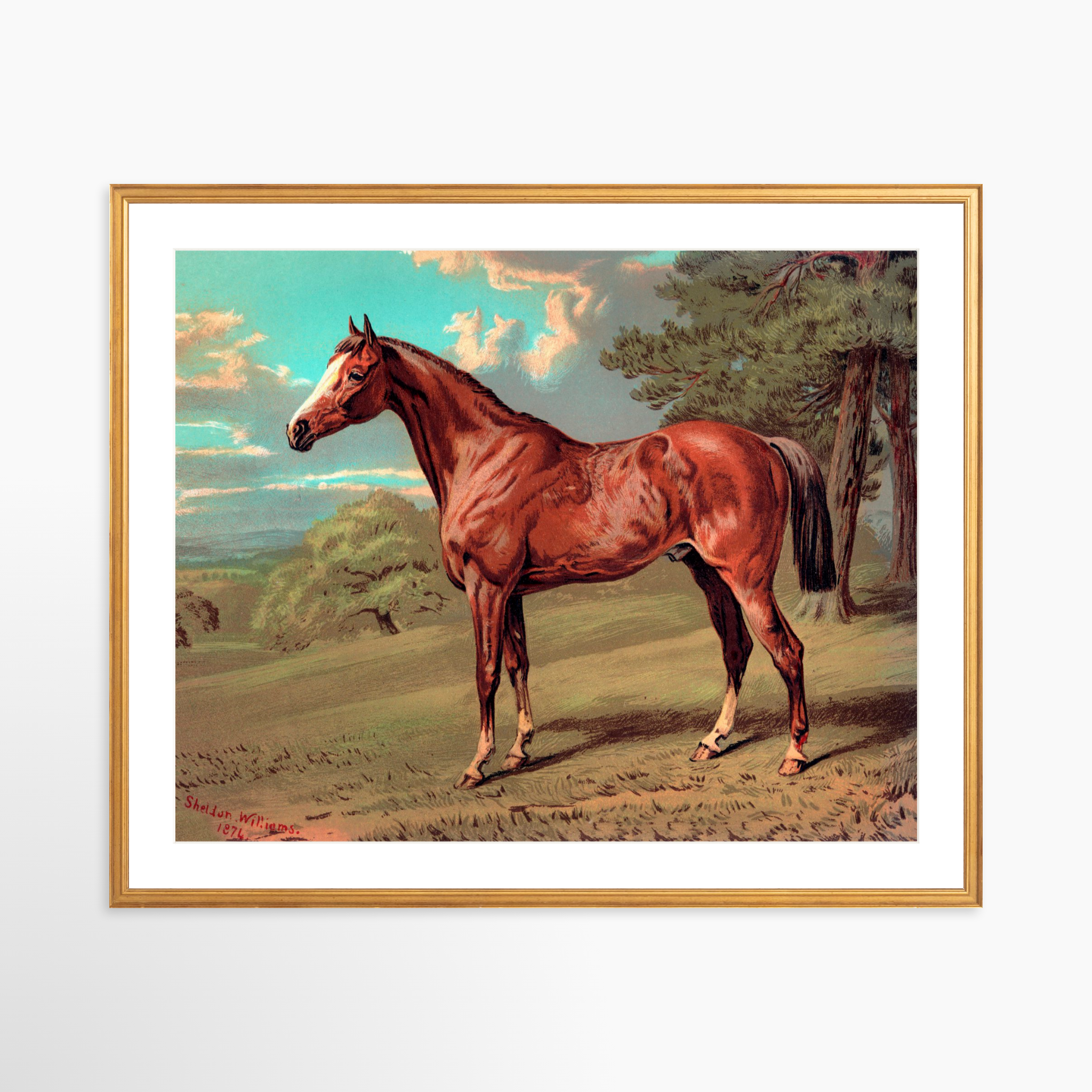 30x24 / Certificate Gold Frame + White Mat