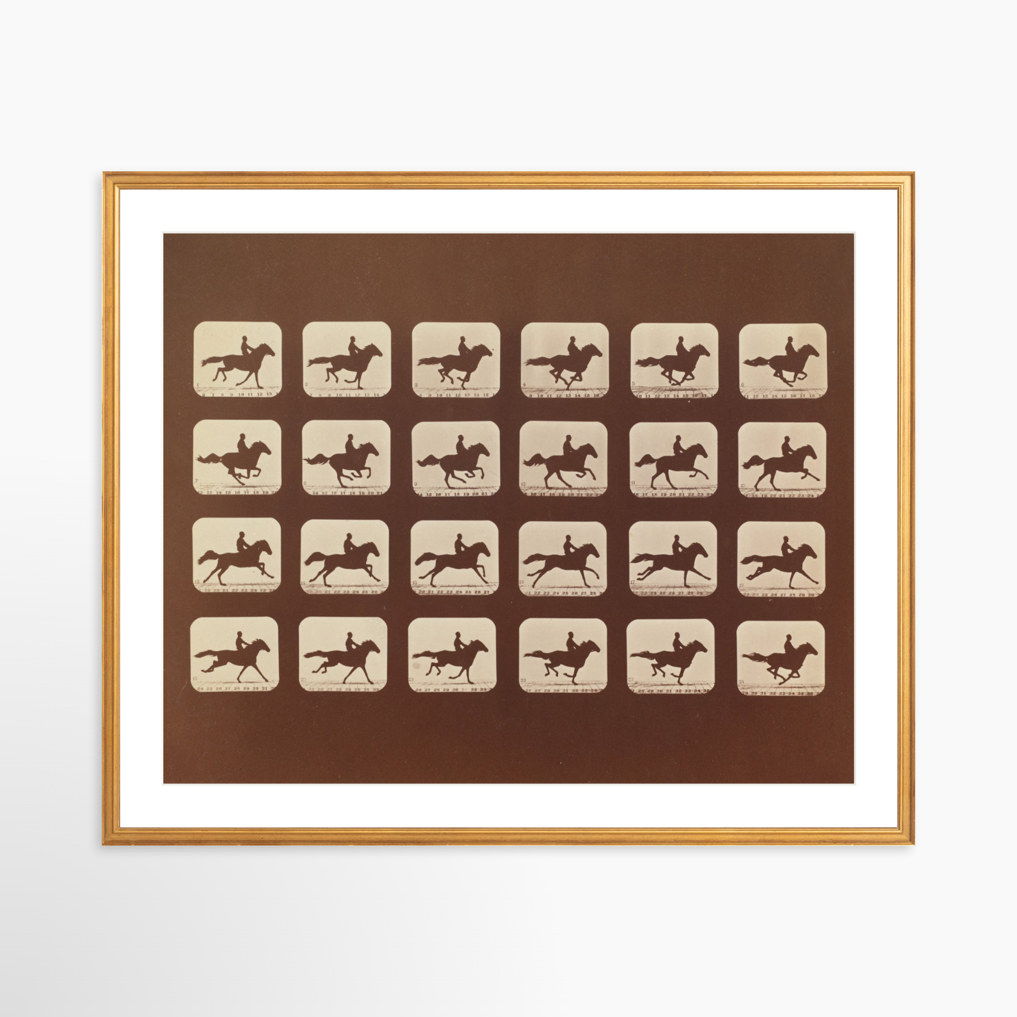 30x24 / Certificate Gold Frame + White Mat