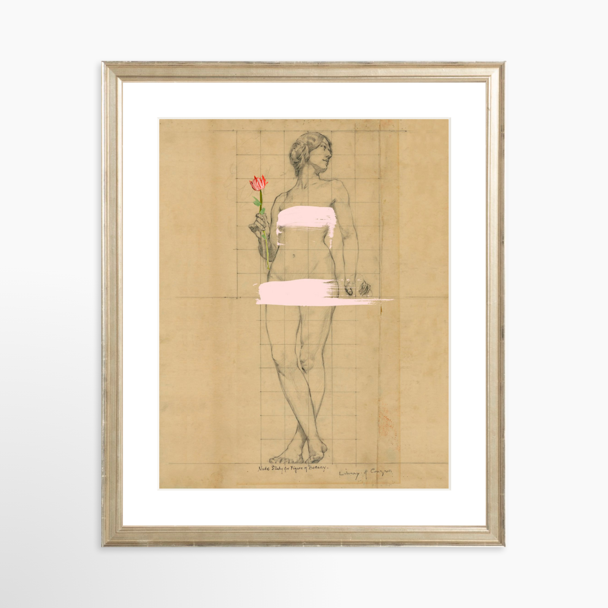 11x14 / Certificate Silver Frame + White Mat