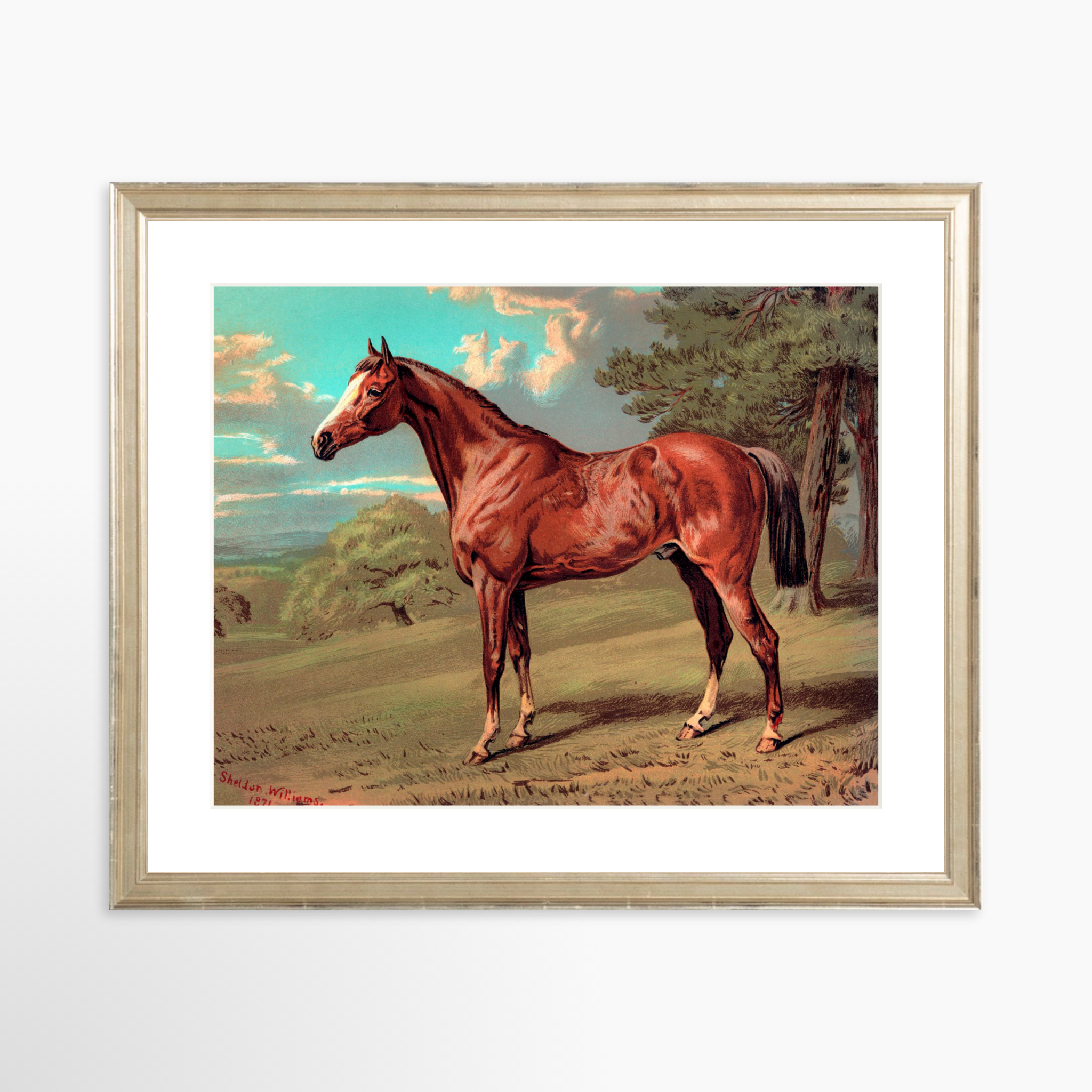 14x11 / Certificate Silver Frame + White Mat