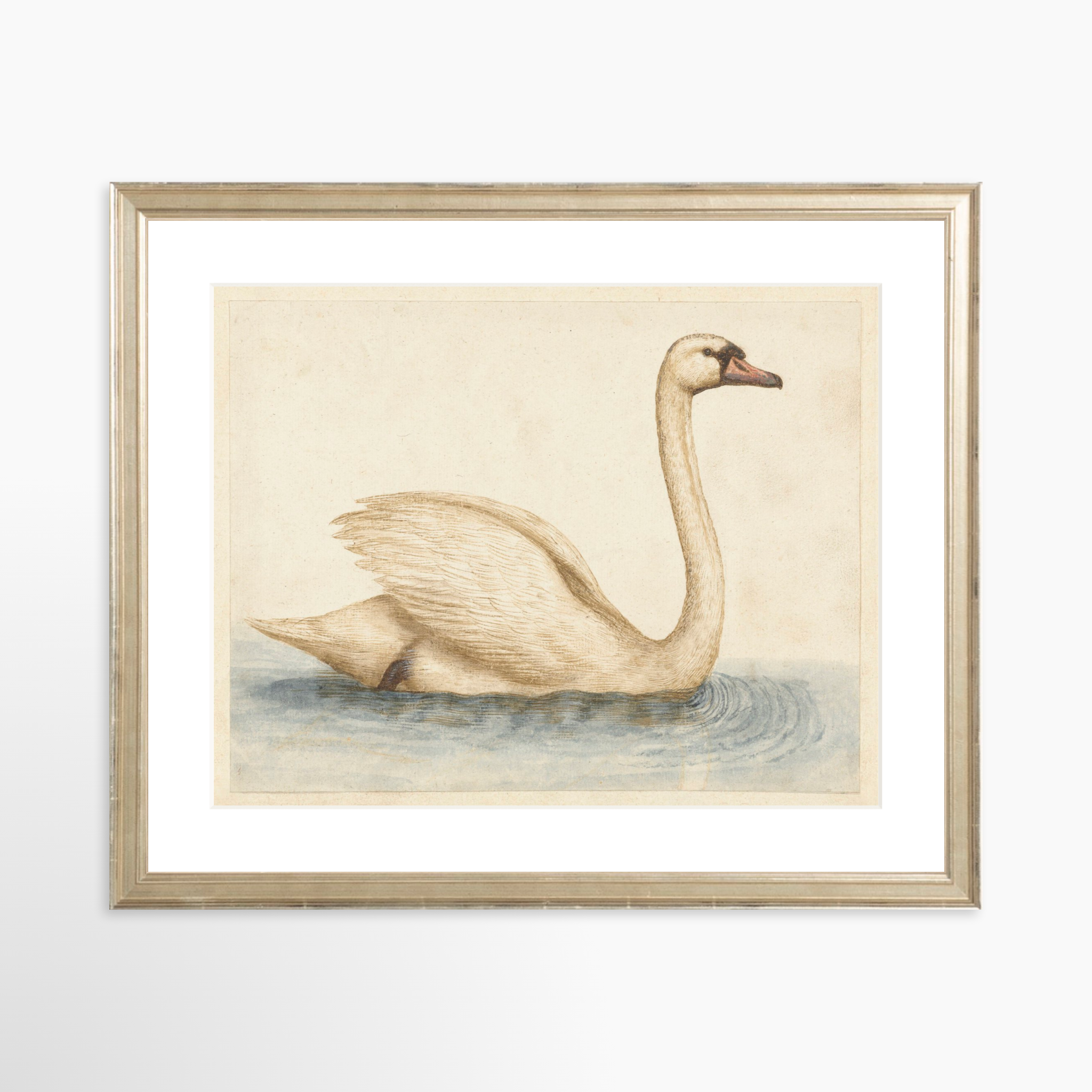 14x11 / Certificate Silver Frame + White Mat