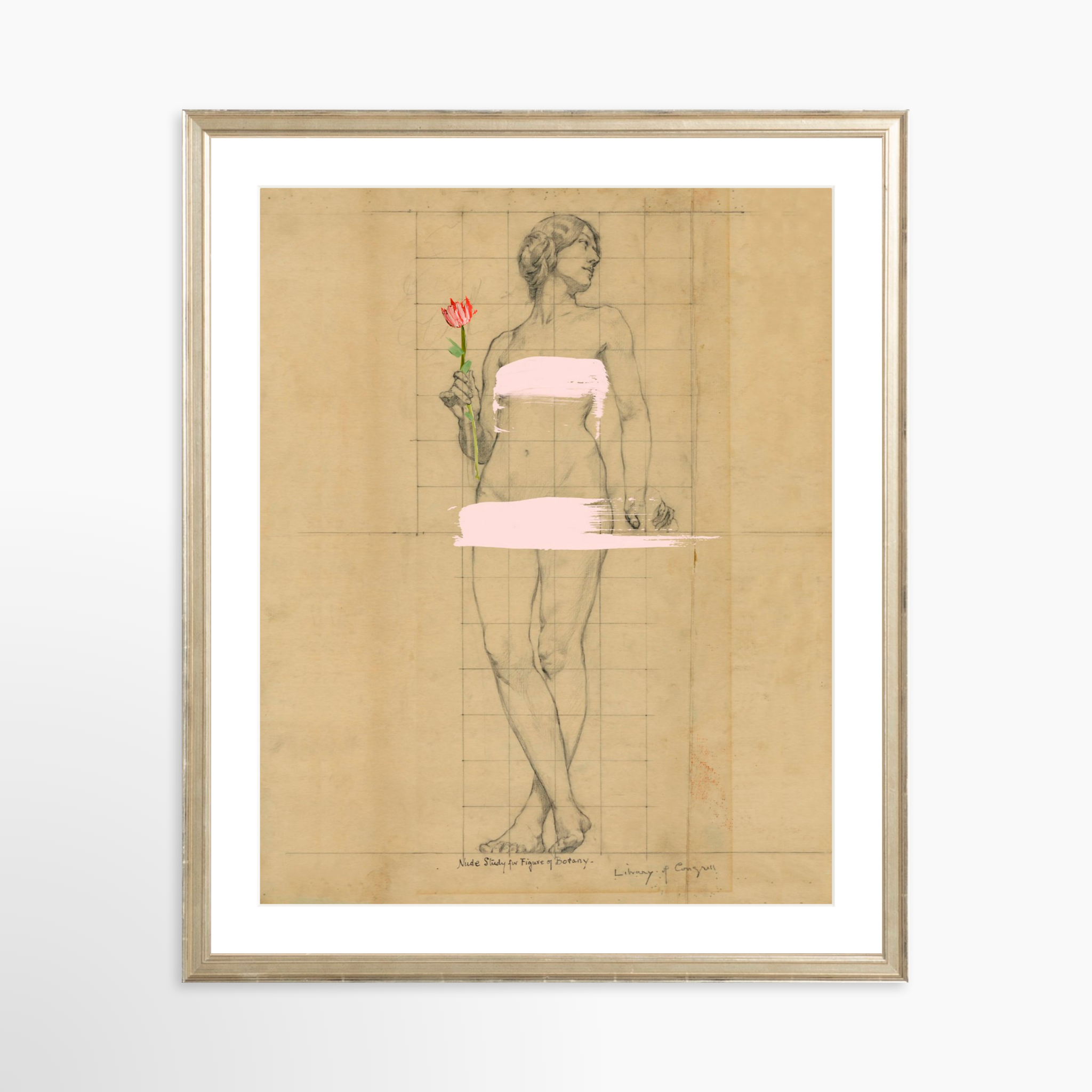 16x20 / Certificate Silver Frame + White Mat