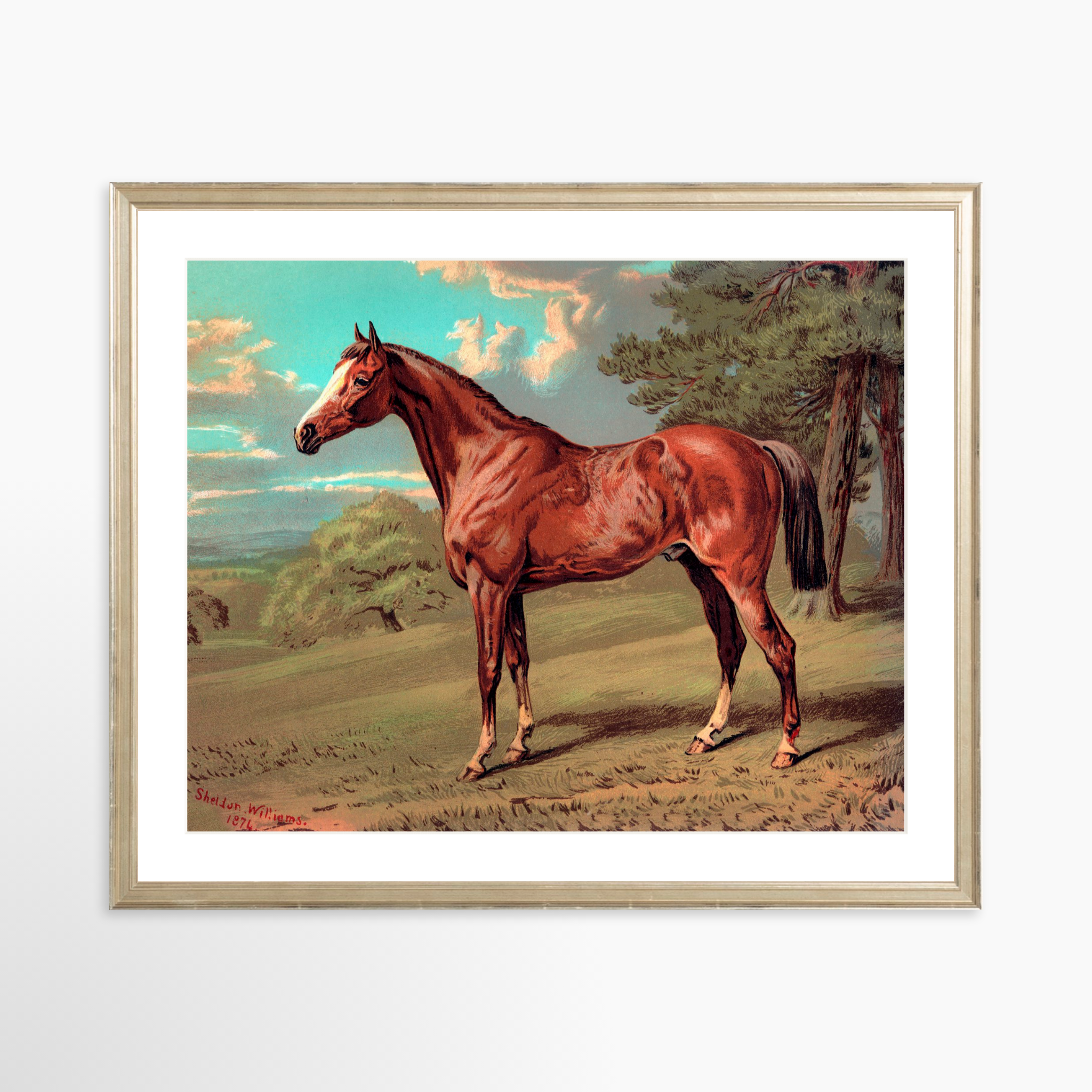 20x16 / Certificate Silver Frame + White Mat