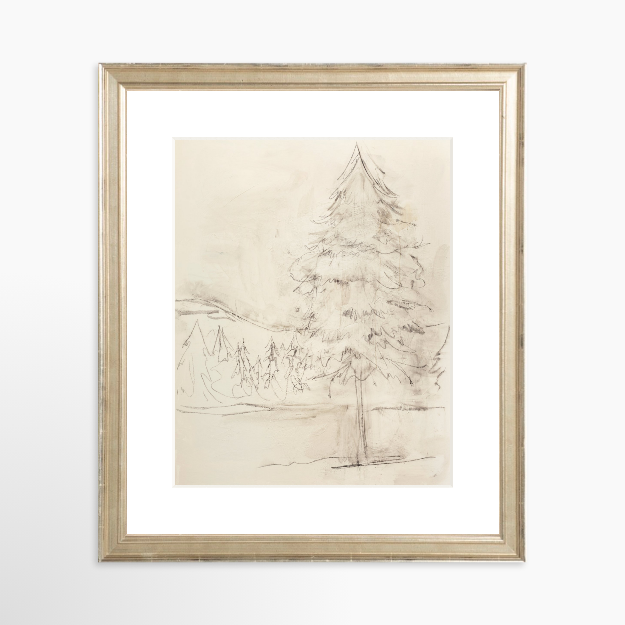 8x10 / Certificate Silver Frame + White Mat