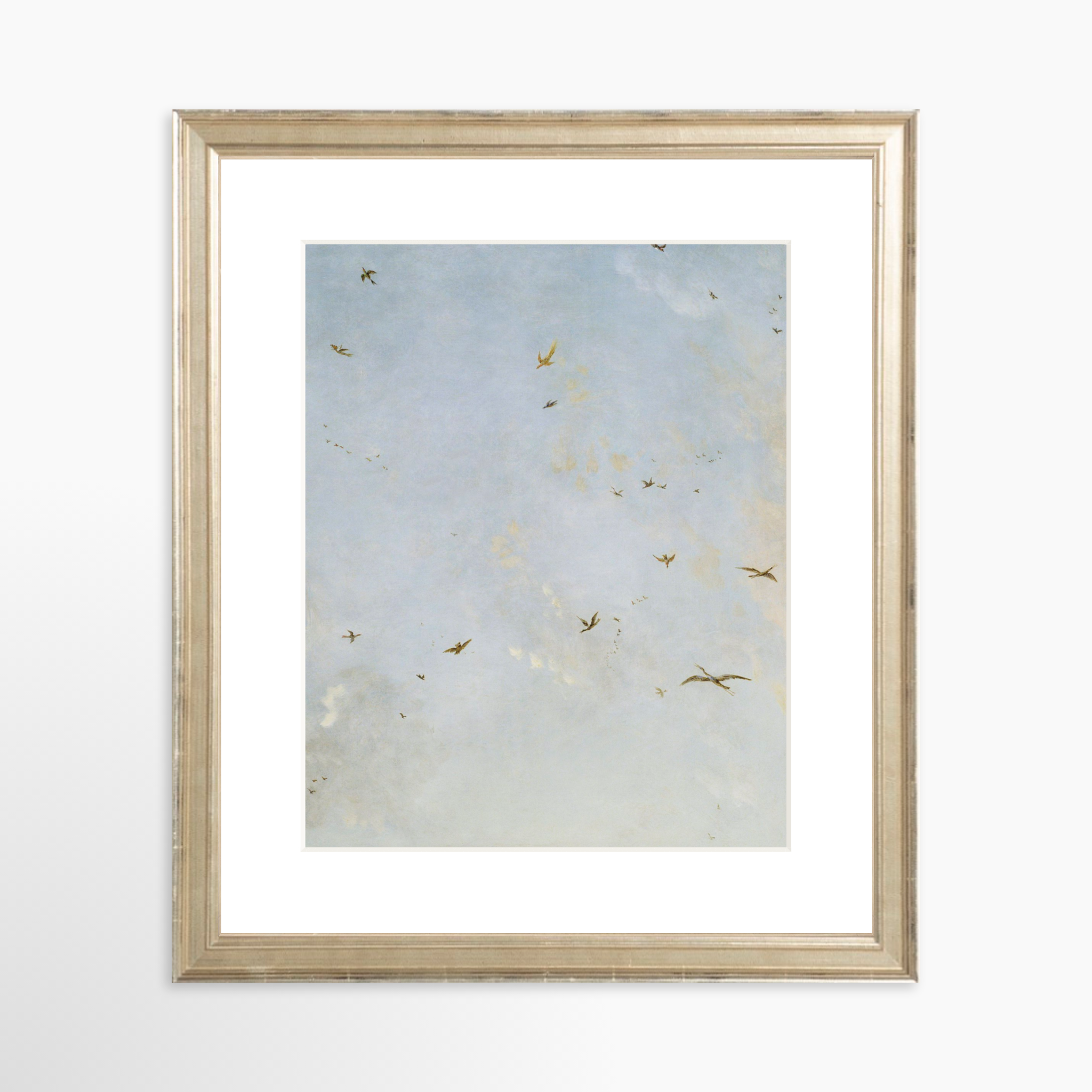 8x10 / Certificate Silver Frame + White Mat