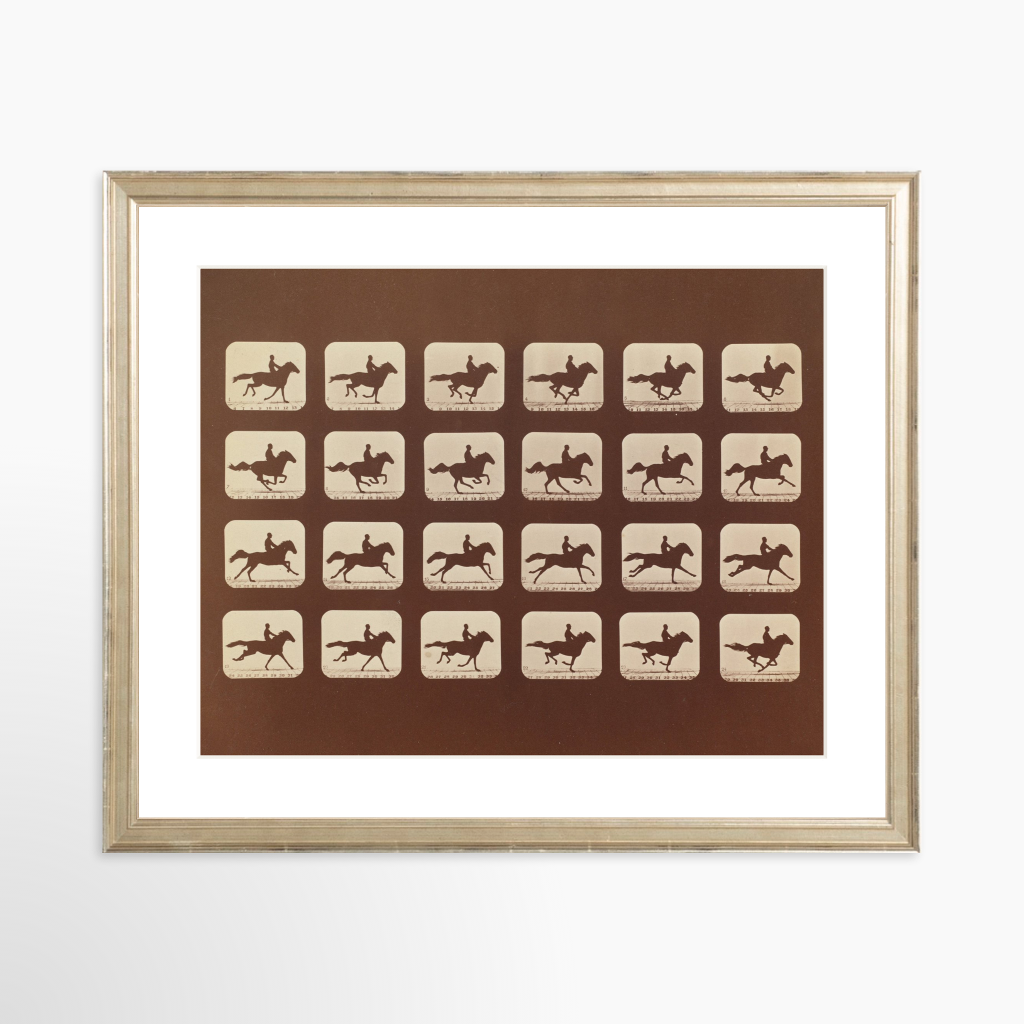 14x11 / Certificate Silver Frame + White Mat