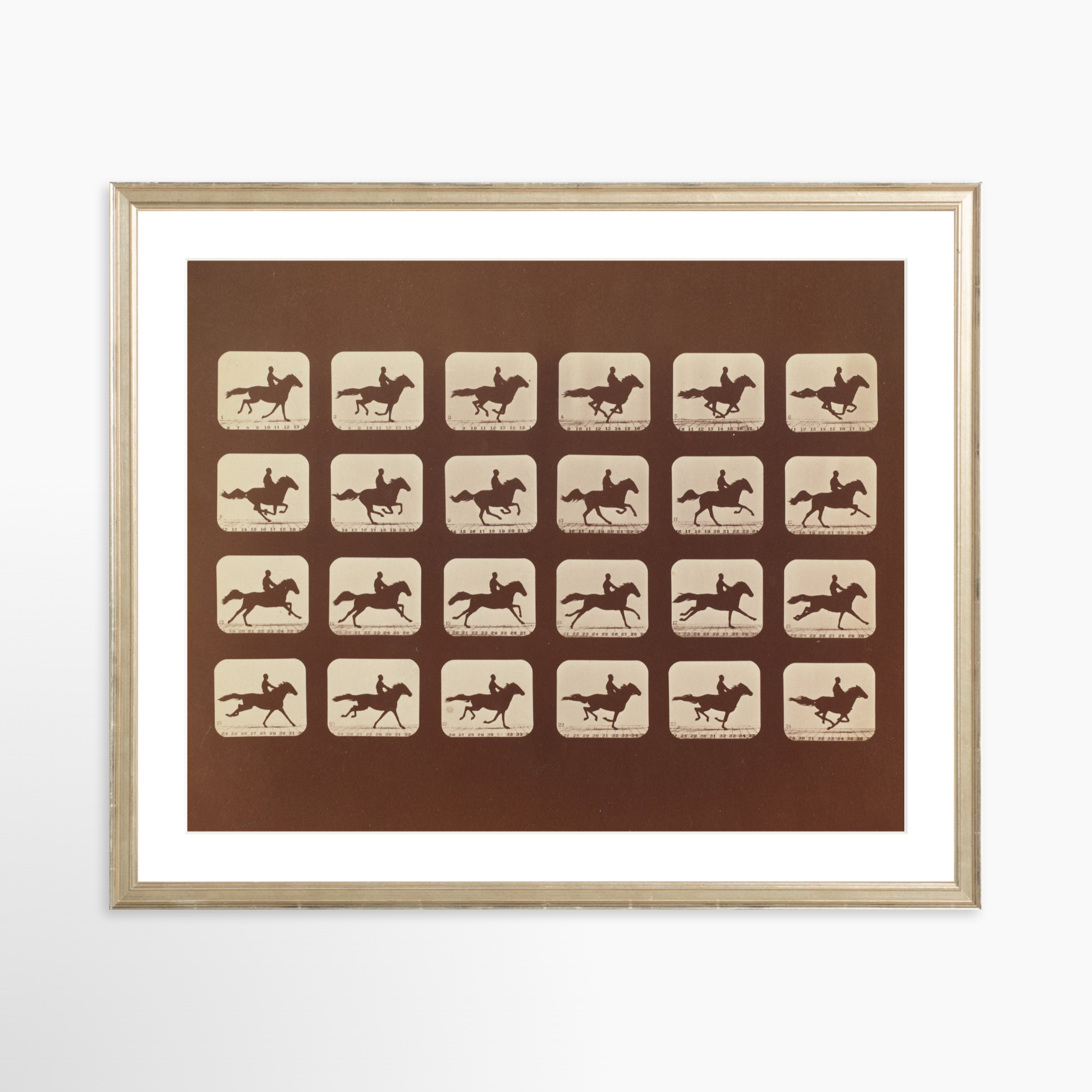 20x16 / Certificate Silver Frame + White Mat