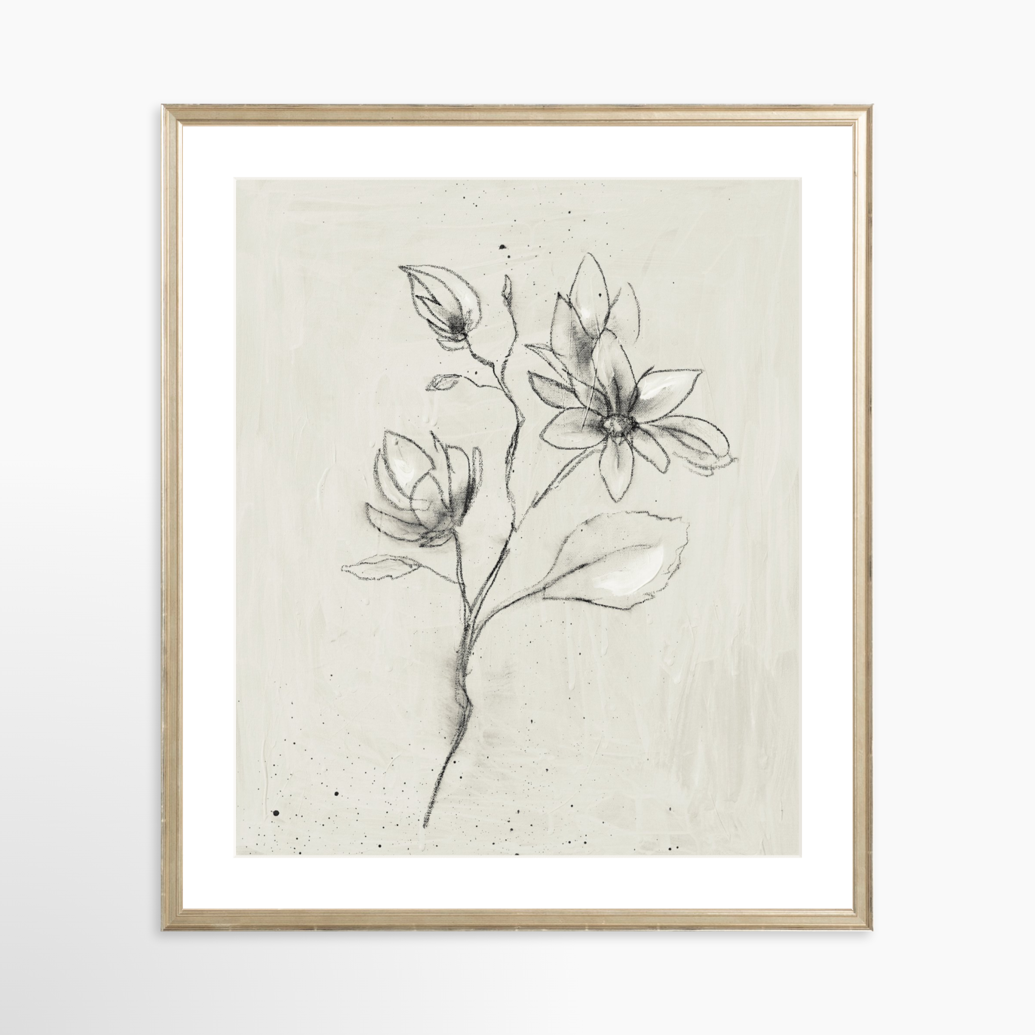 20x25 / Certificate Silver Frame + White Mat