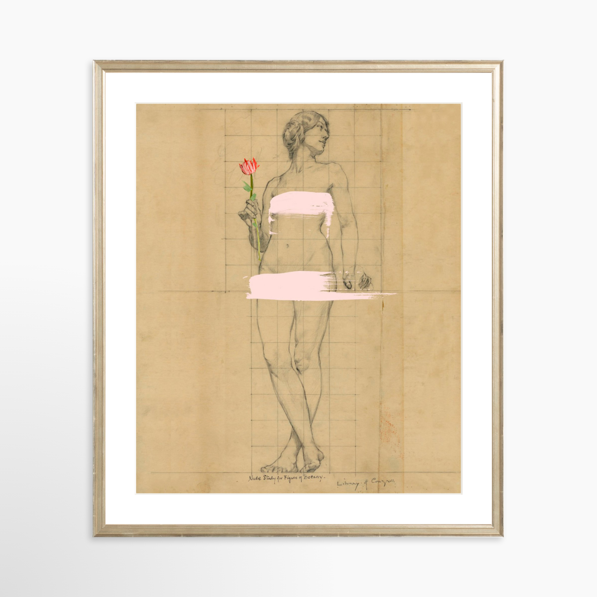 20x25 / Certificate Silver Frame + White Mat