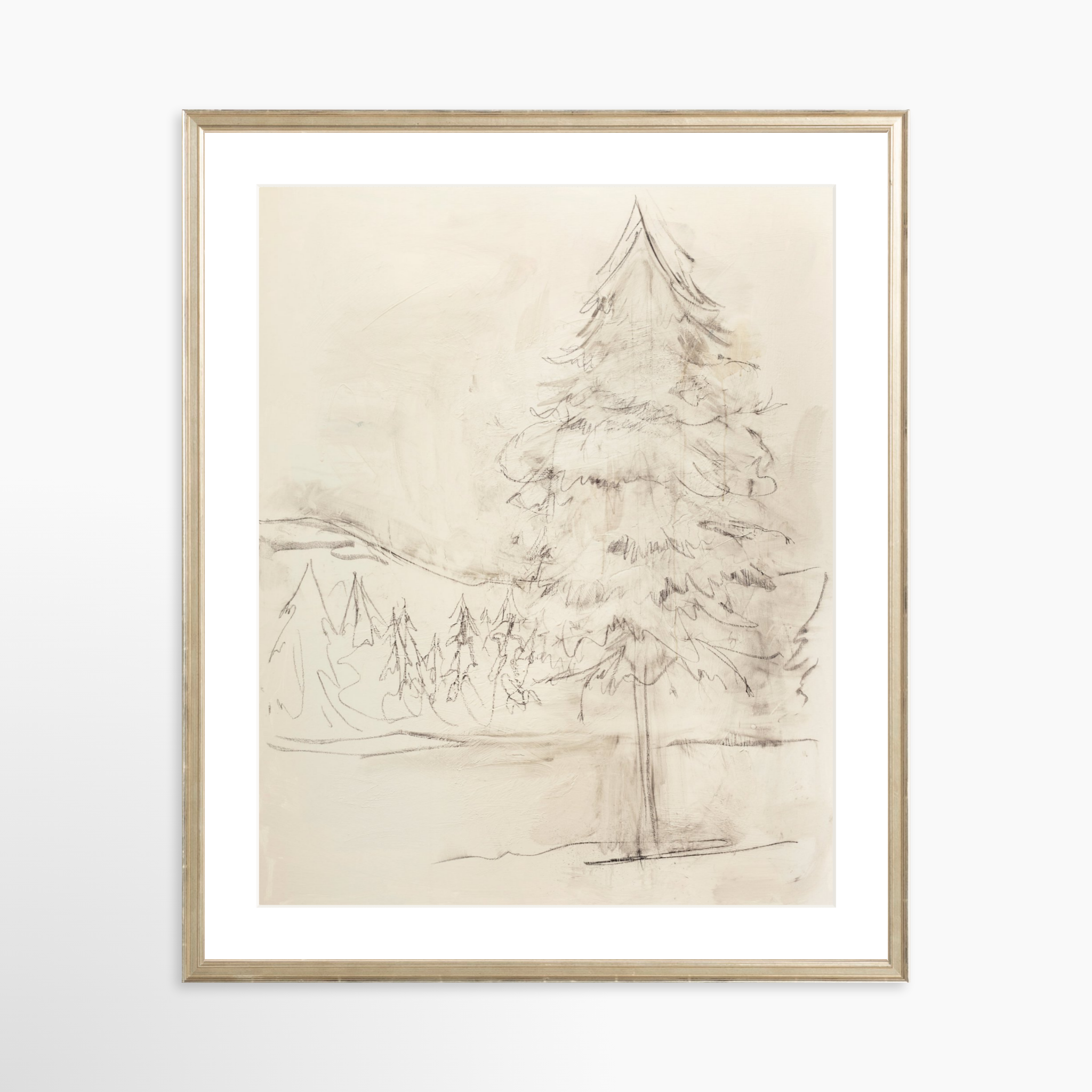 20x25 / Certificate Silver Frame + White Mat