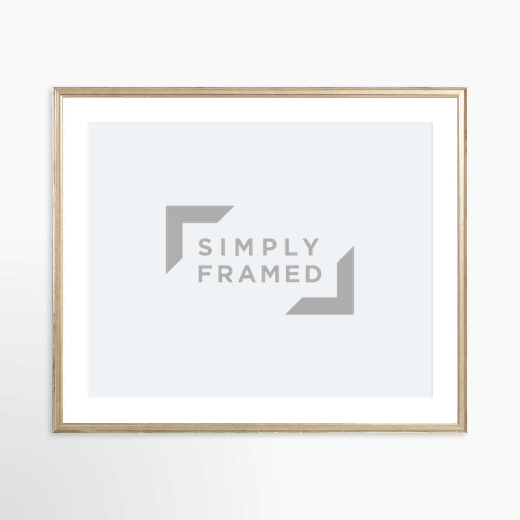 25x20 / Certificate Silver Frame + White Mat