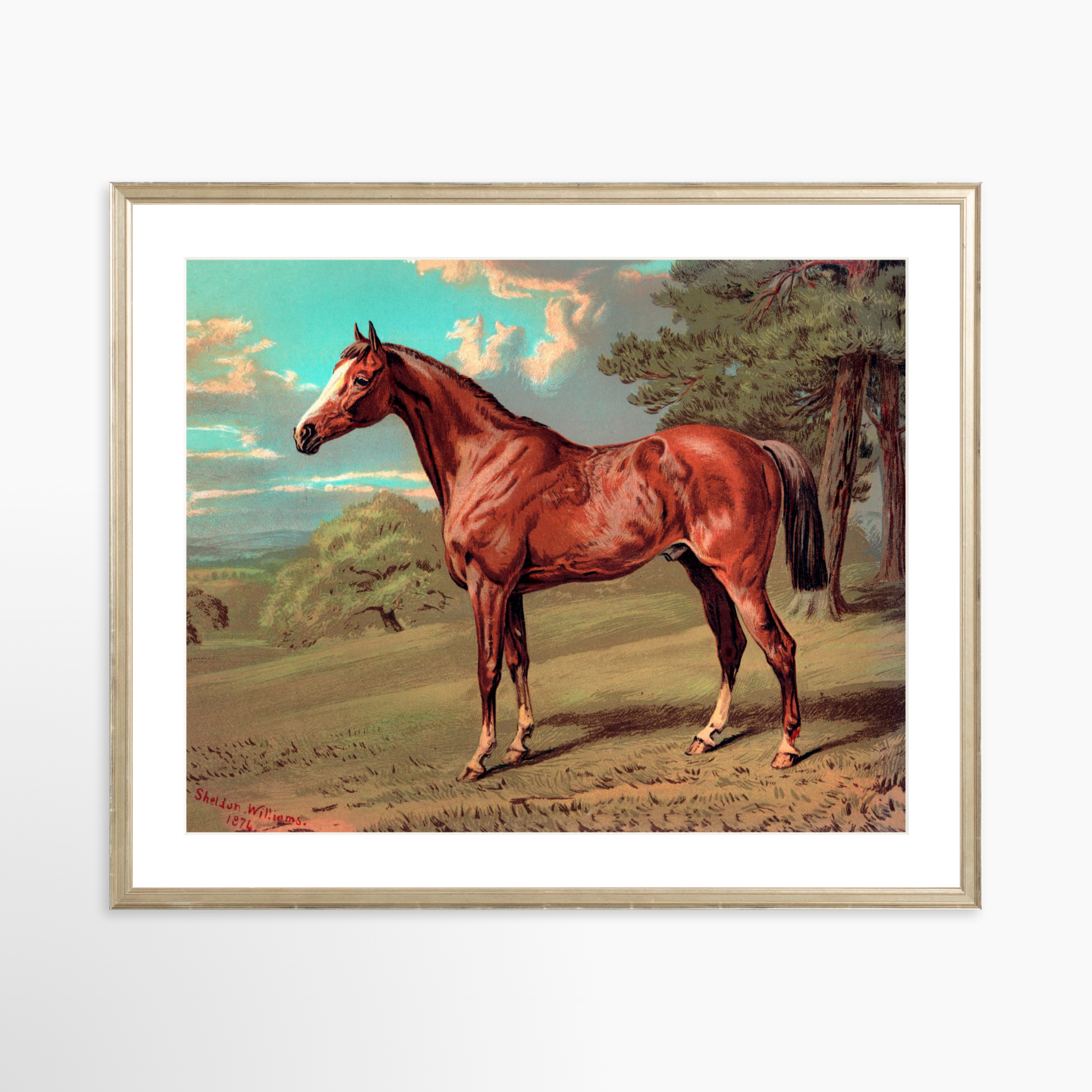 25x20 / Certificate Silver Frame + White Mat