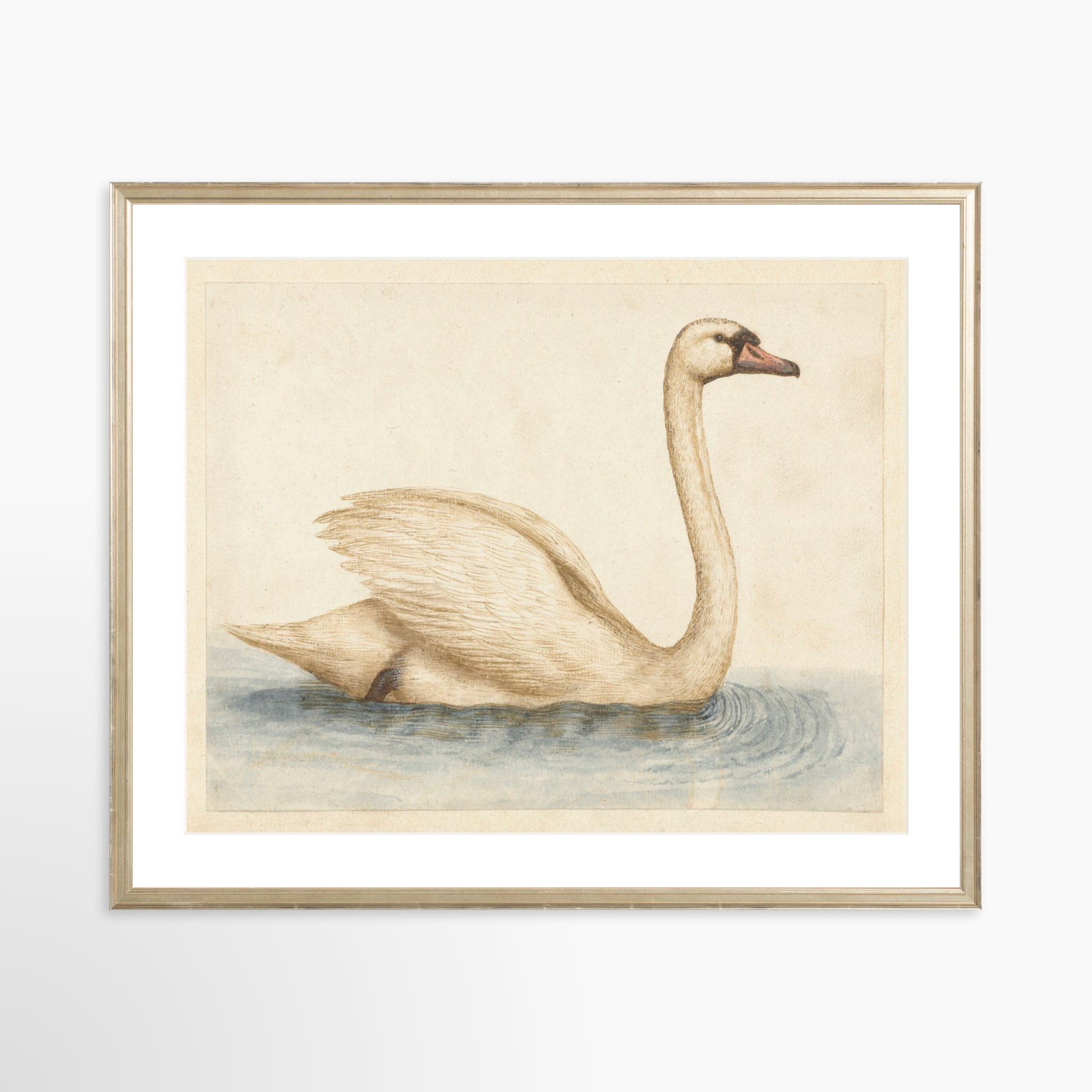 25x20 / Certificate Silver Frame + White Mat