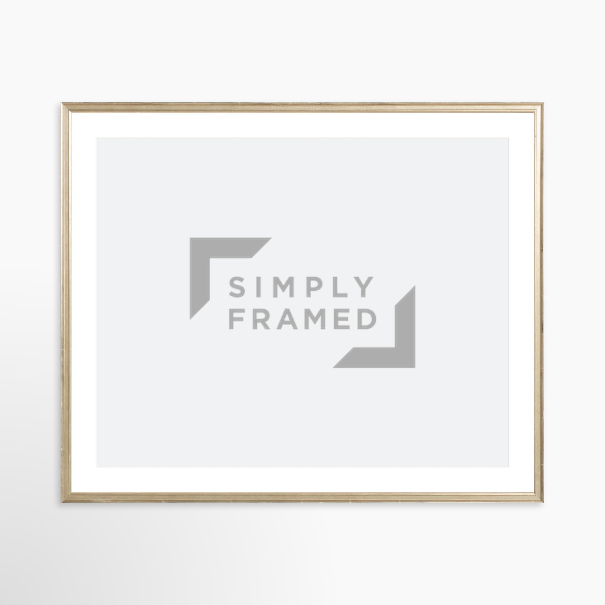 30x24 / Certificate Silver Frame + White Mat