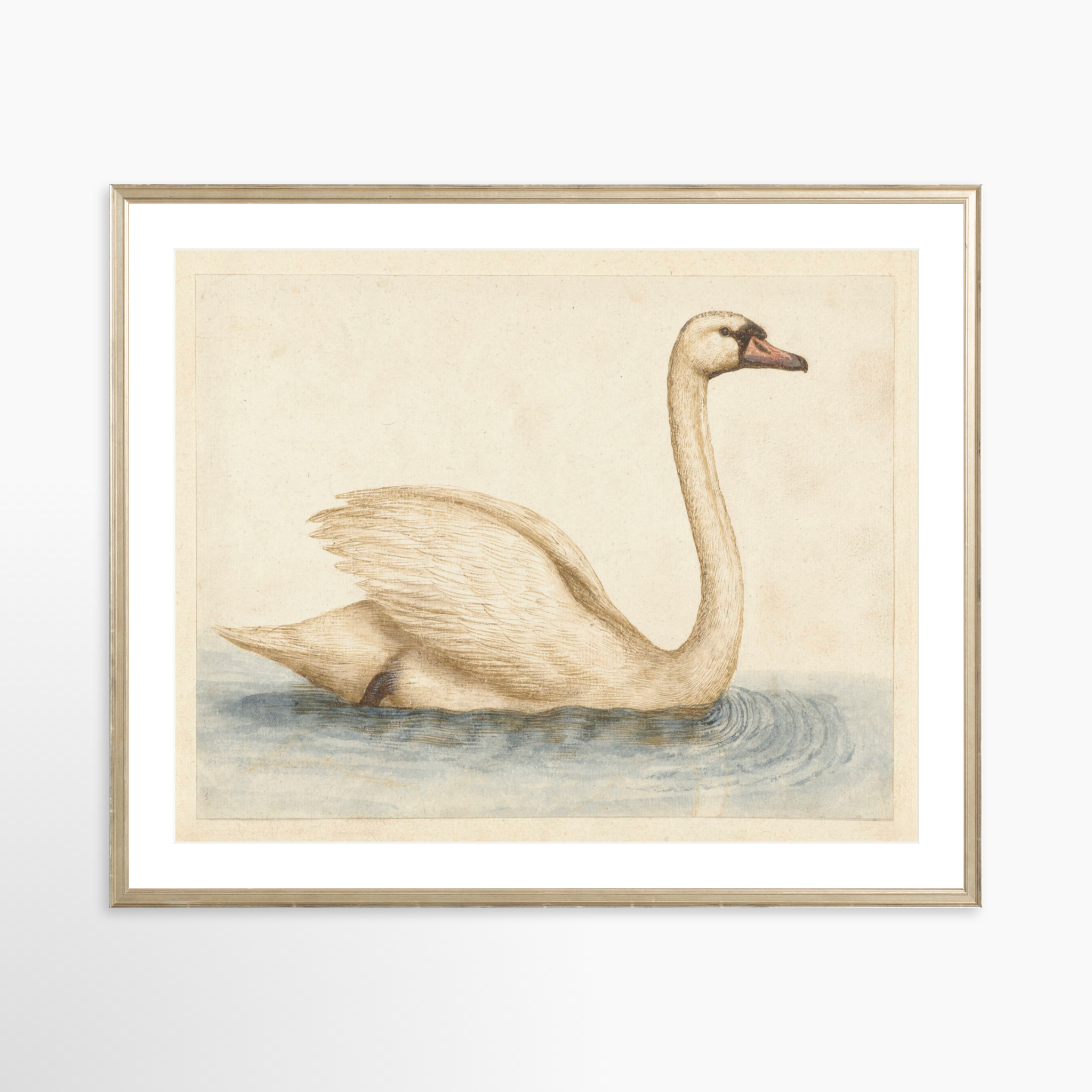 30x24 / Certificate Silver Frame + White Mat