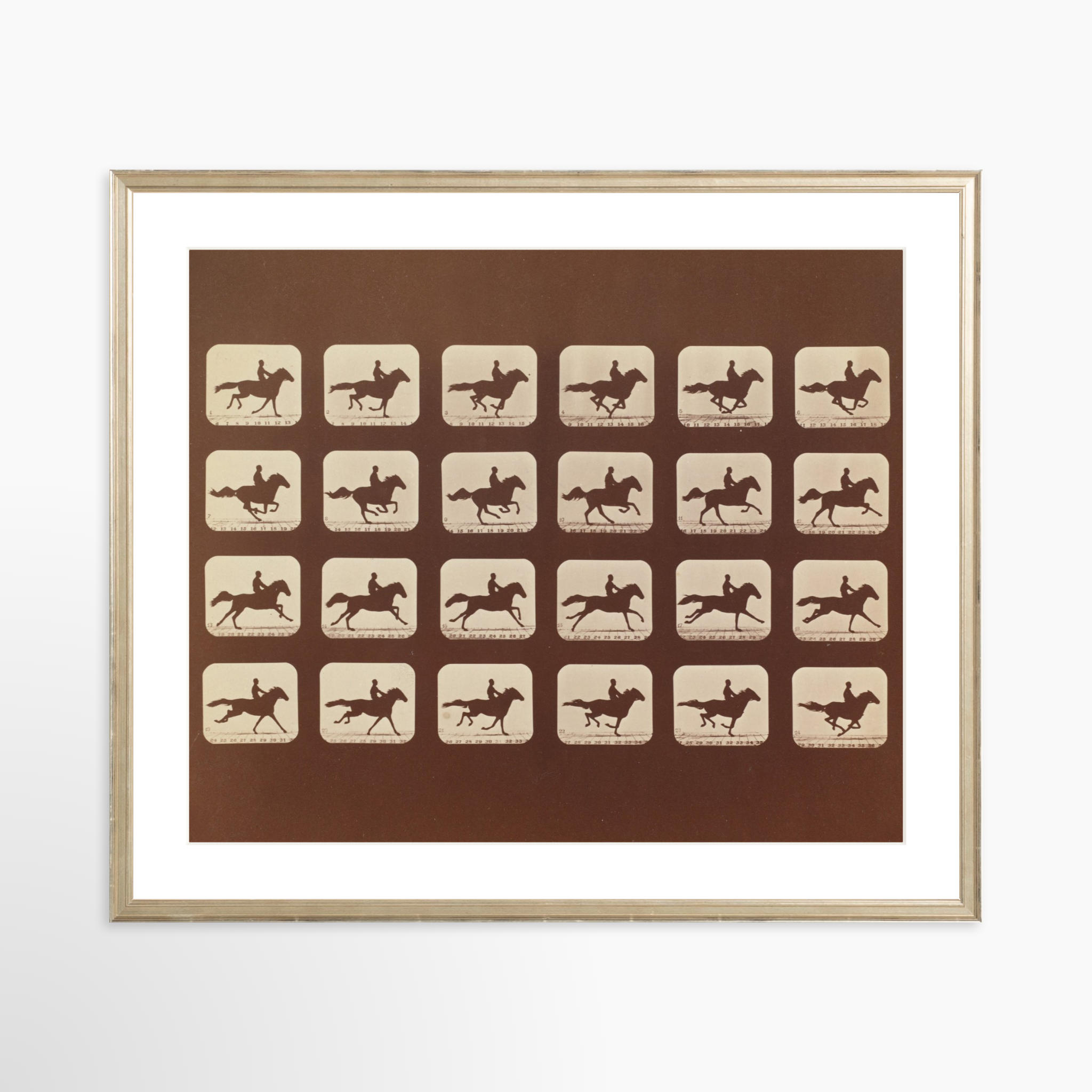 24x20 / Certificate Silver Frame + White Mat