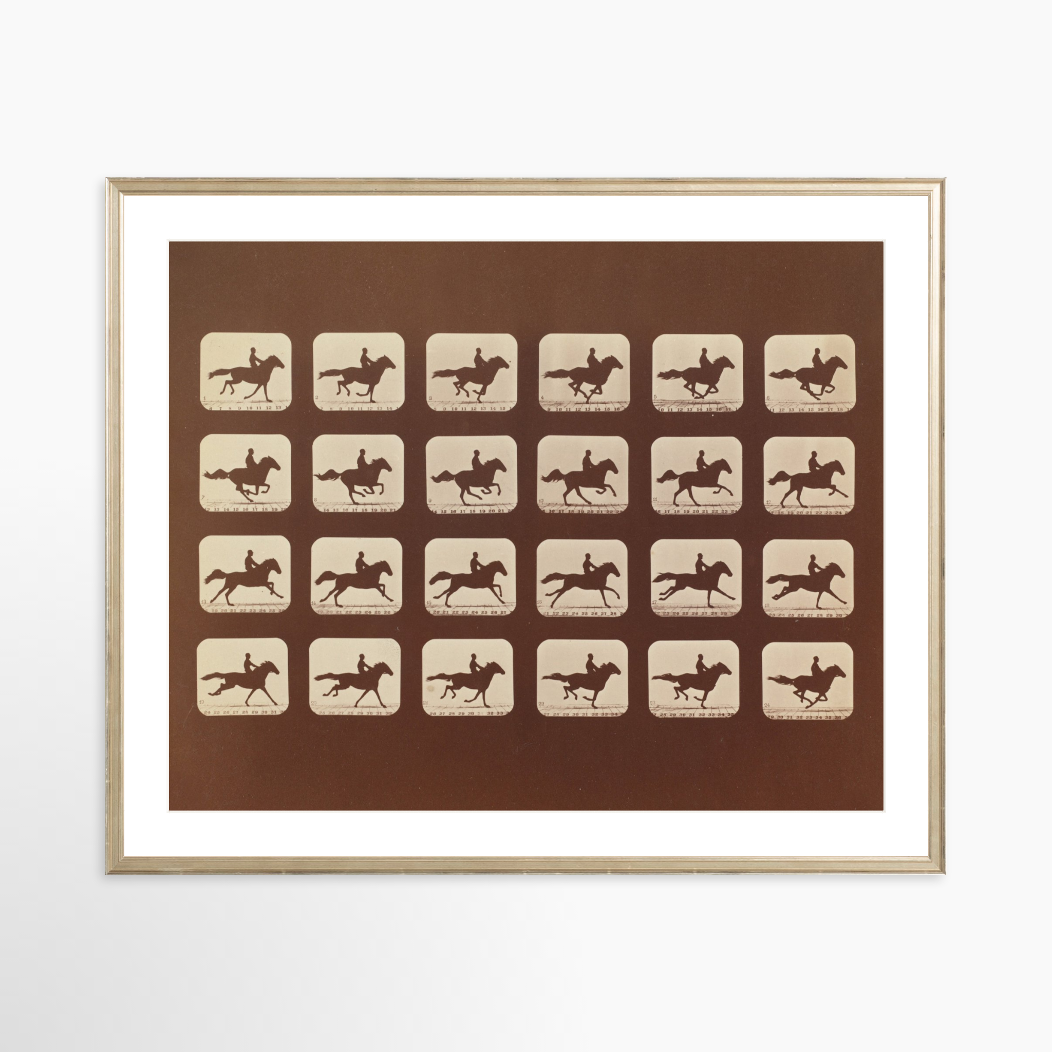 30x24 / Certificate Silver Frame + White Mat